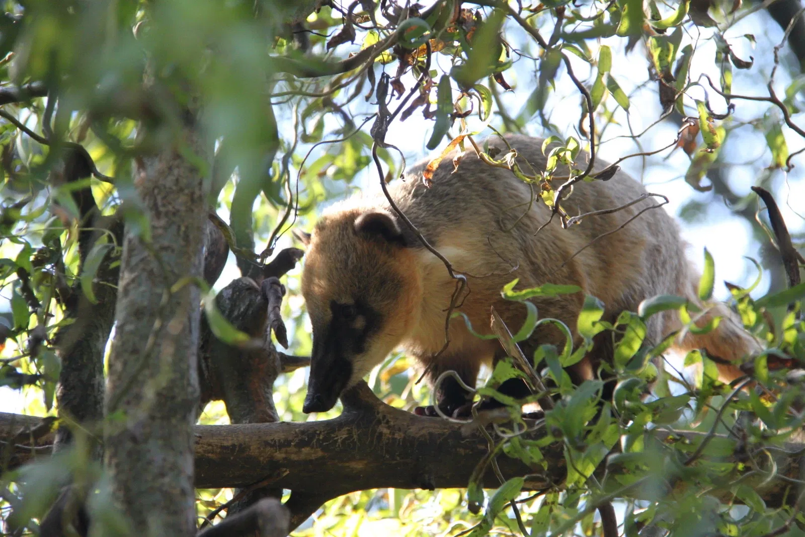 Parc Zoologique de Lille