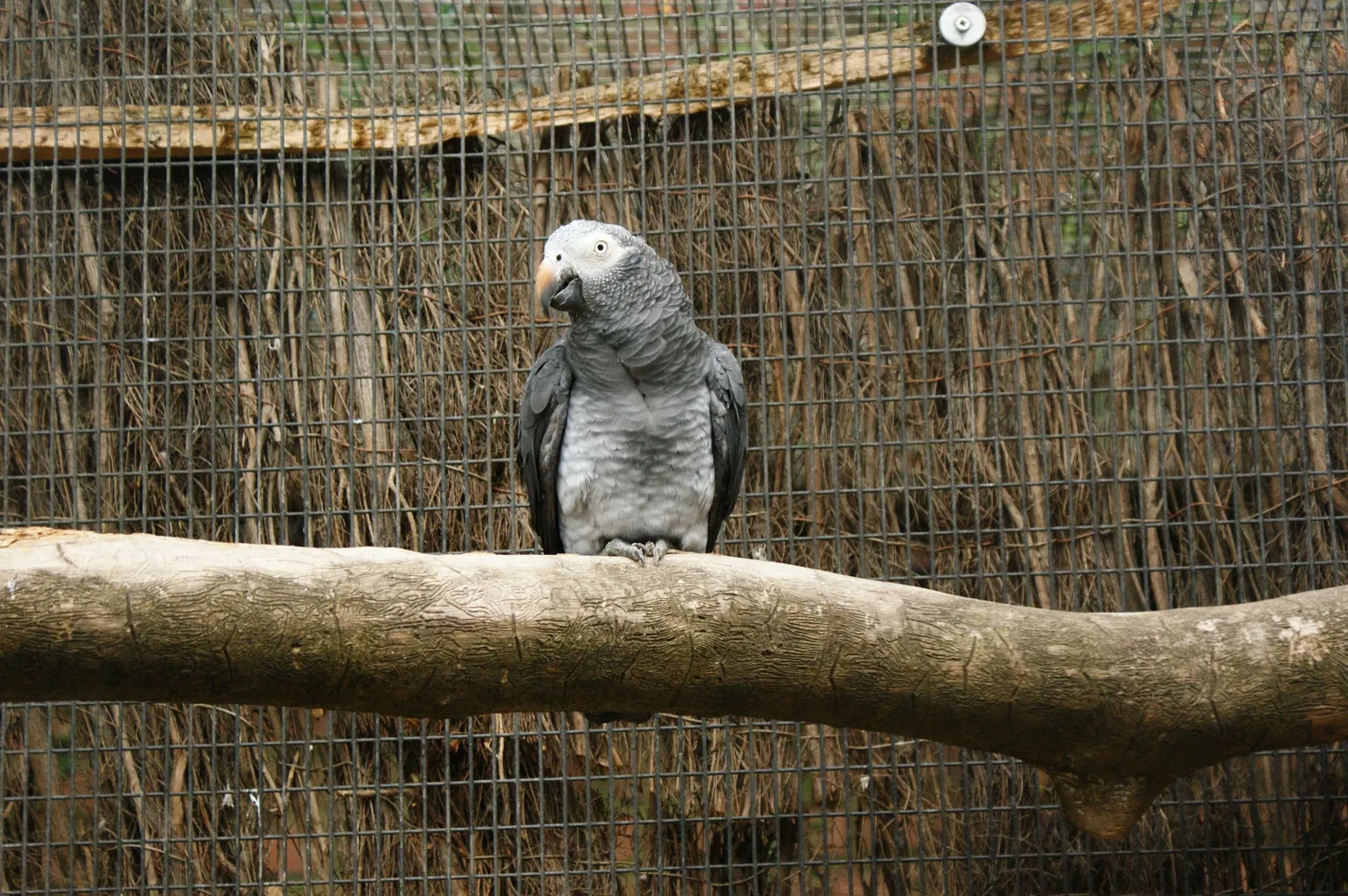 Zoo de Lille