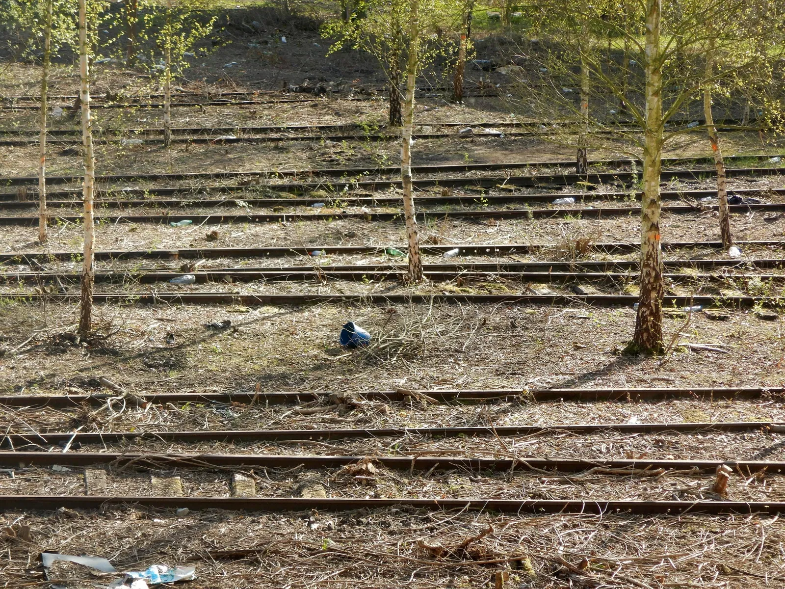 Lille-Saint-Sauveur Station