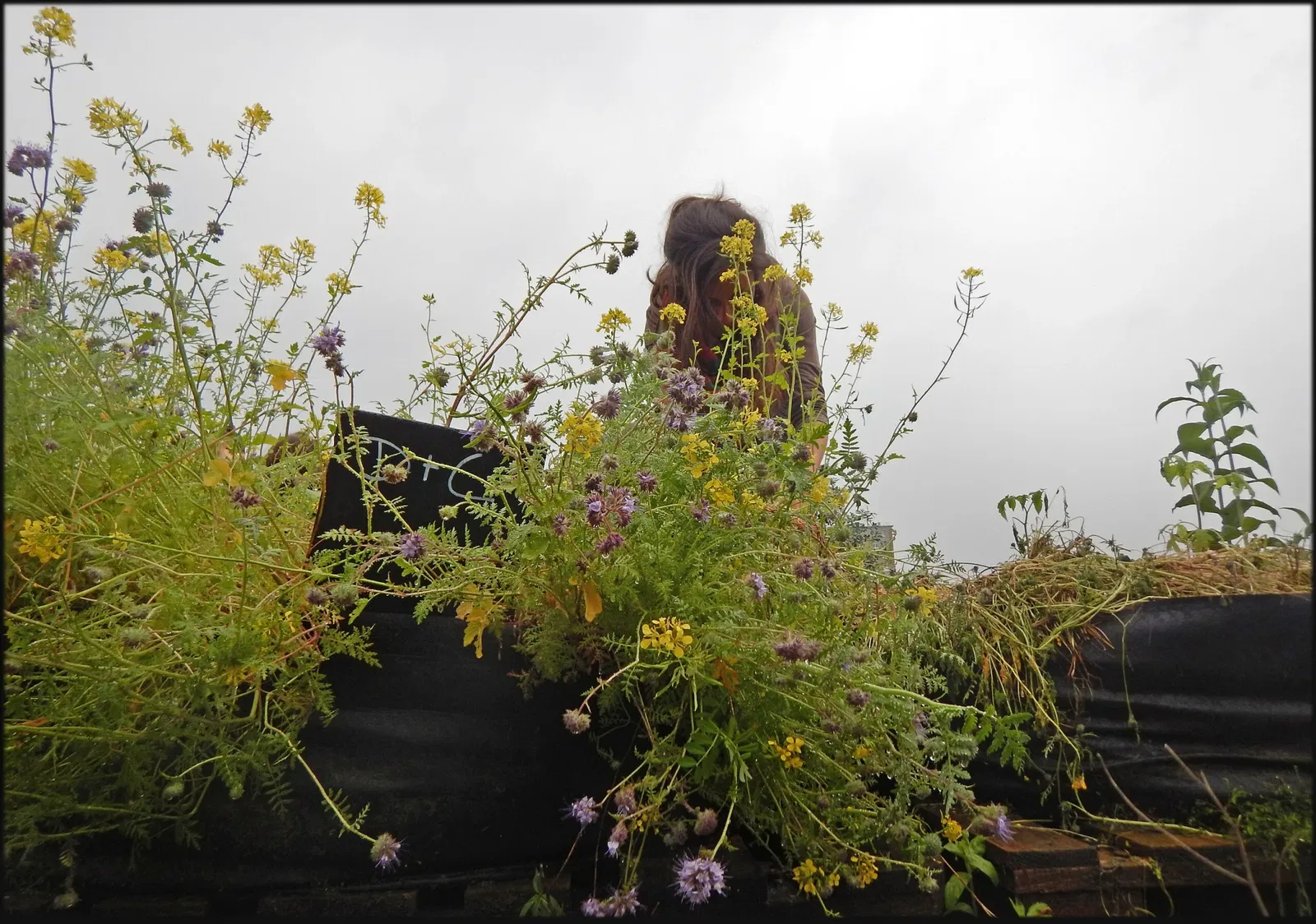 Lille-Saint-Sauveur Station