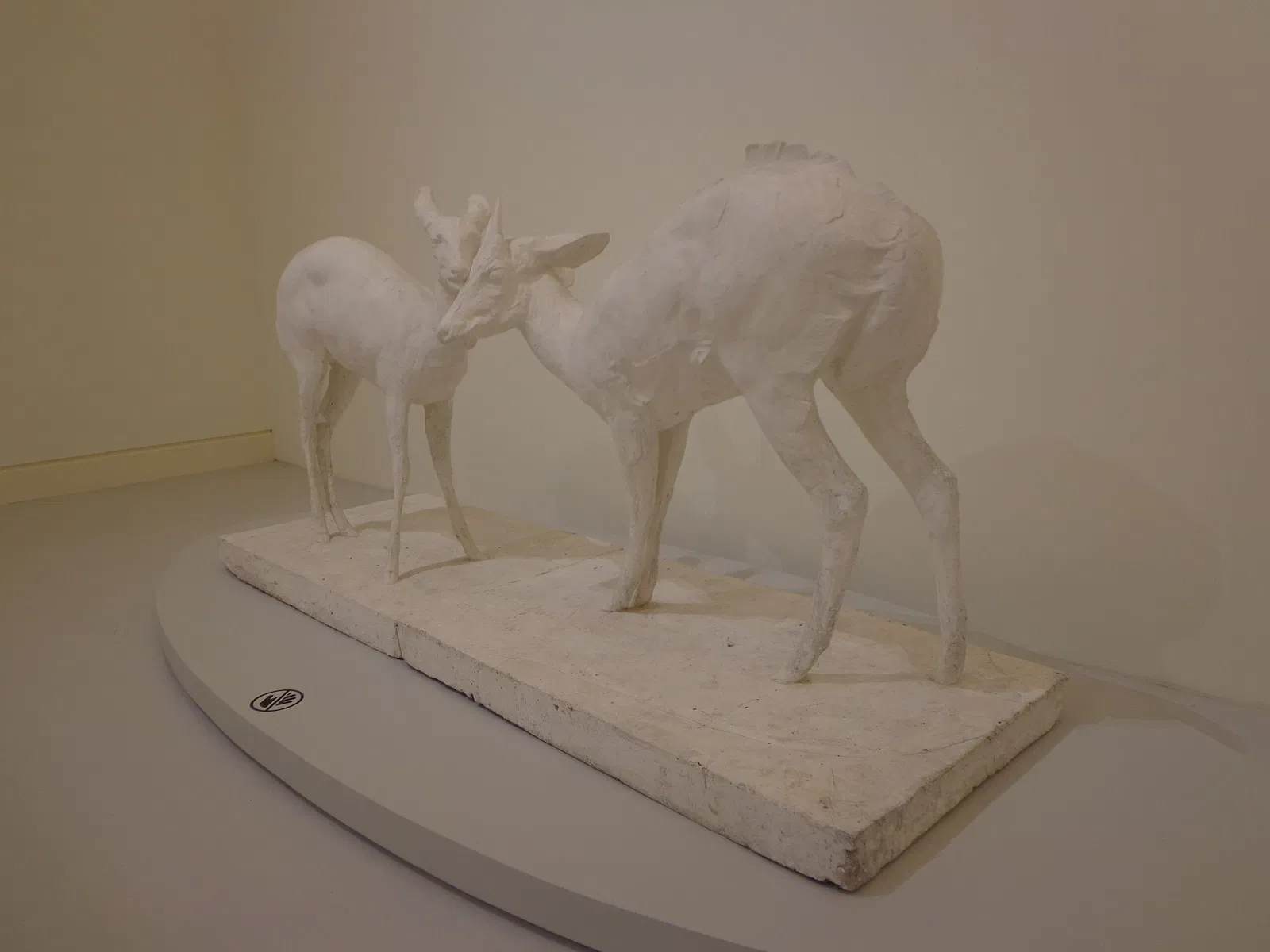 Museum of Modern and Contemporary Art