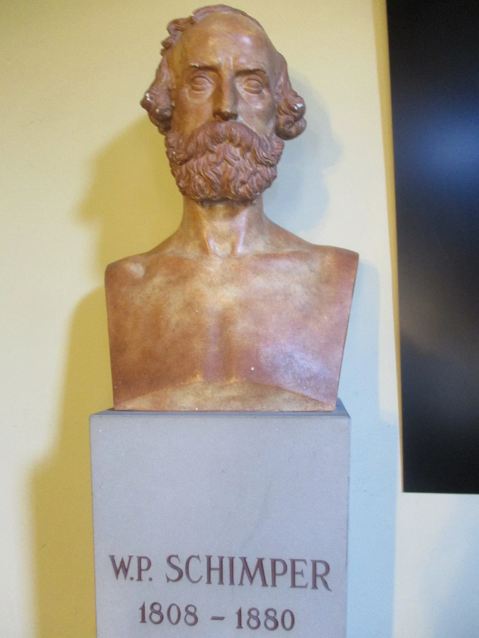 Museo zoológico de Estrasburgo