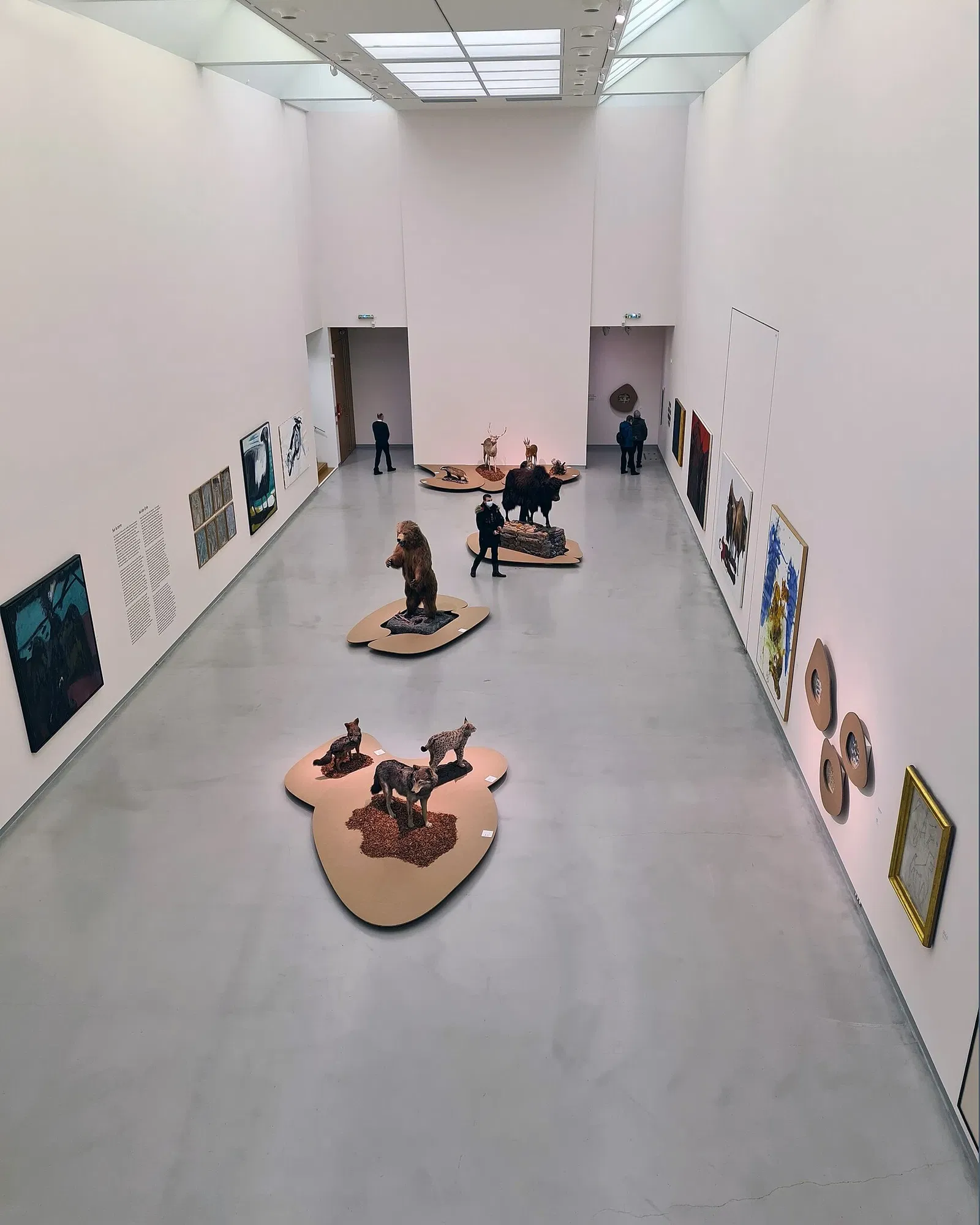 Museo zoologico della città di Strasburgo