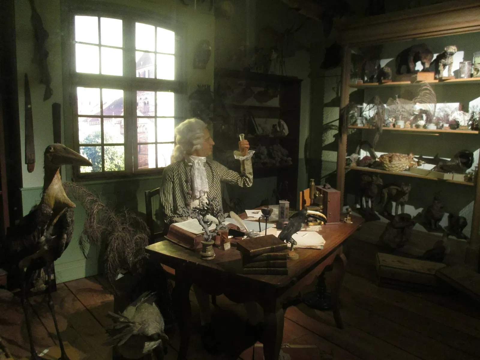 Zoologisches Museum der Stadt Straßburg