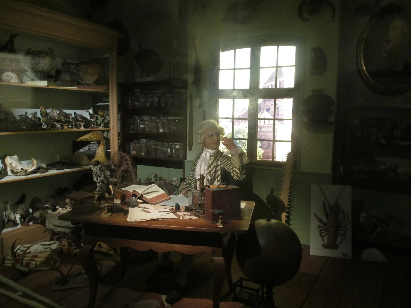 Museo zoologico della città di Strasburgo