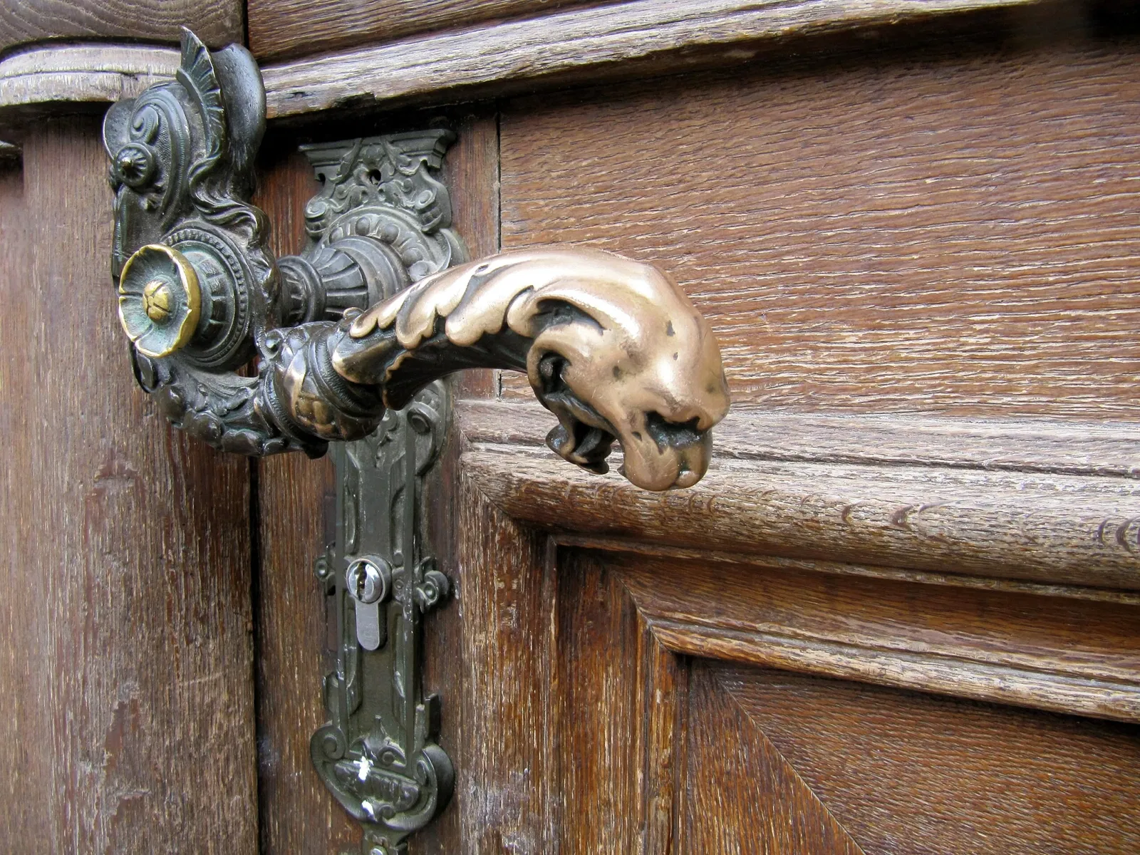 Museo zoologico della città di Strasburgo