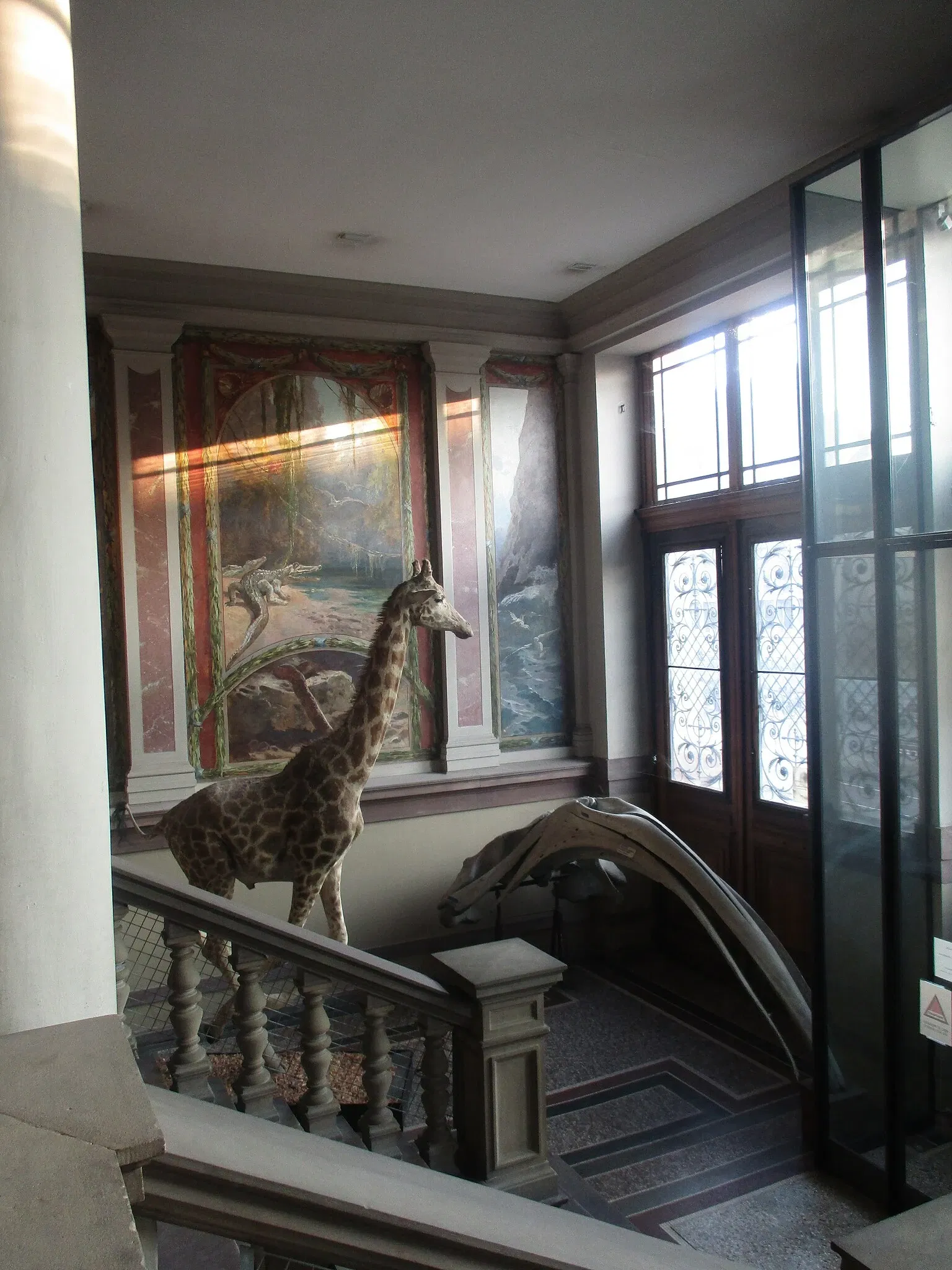 Museo zoológico de Estrasburgo