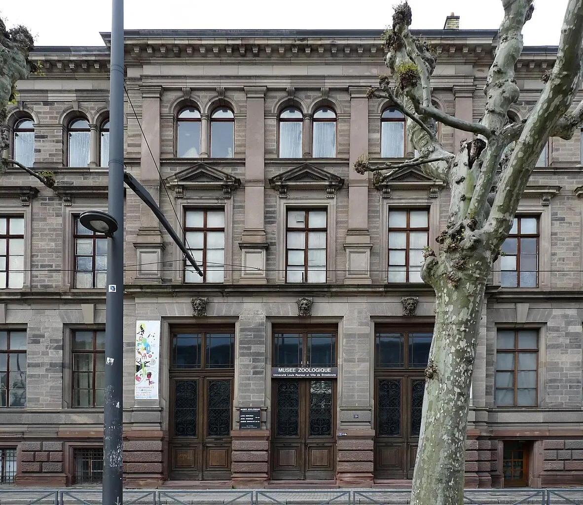 Museo zoológico de Estrasburgo