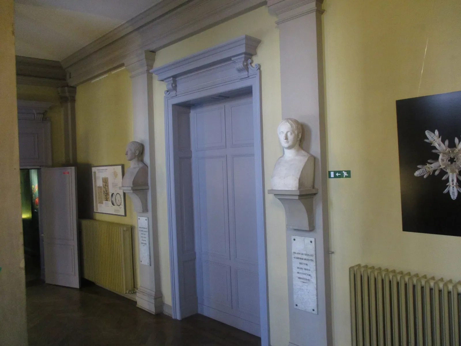 Museo zoologico della città di Strasburgo