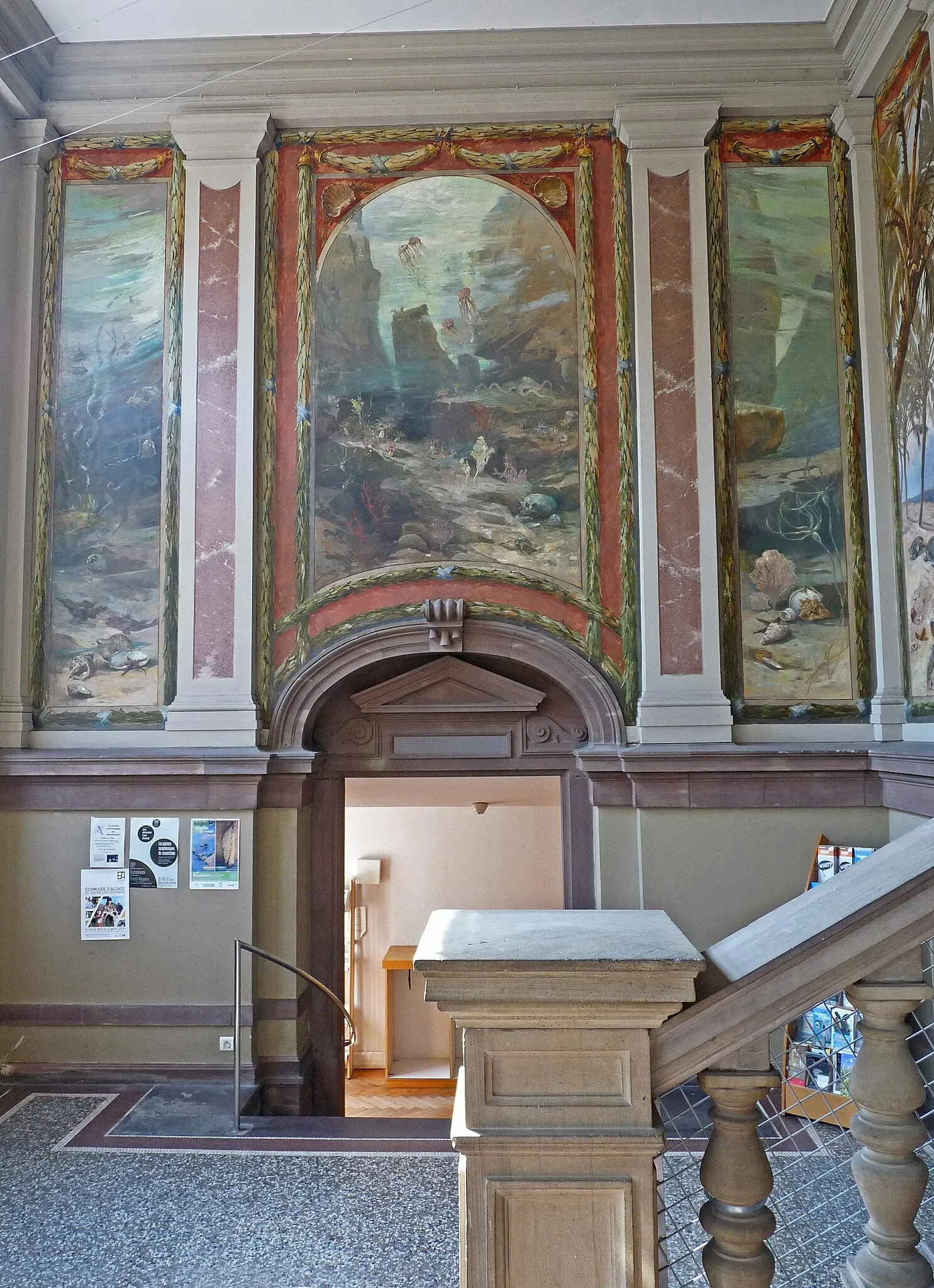 Zoologisches Museum der Stadt Straßburg