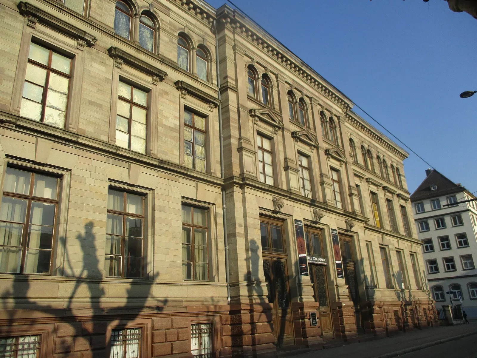 Museo zoológico de Estrasburgo