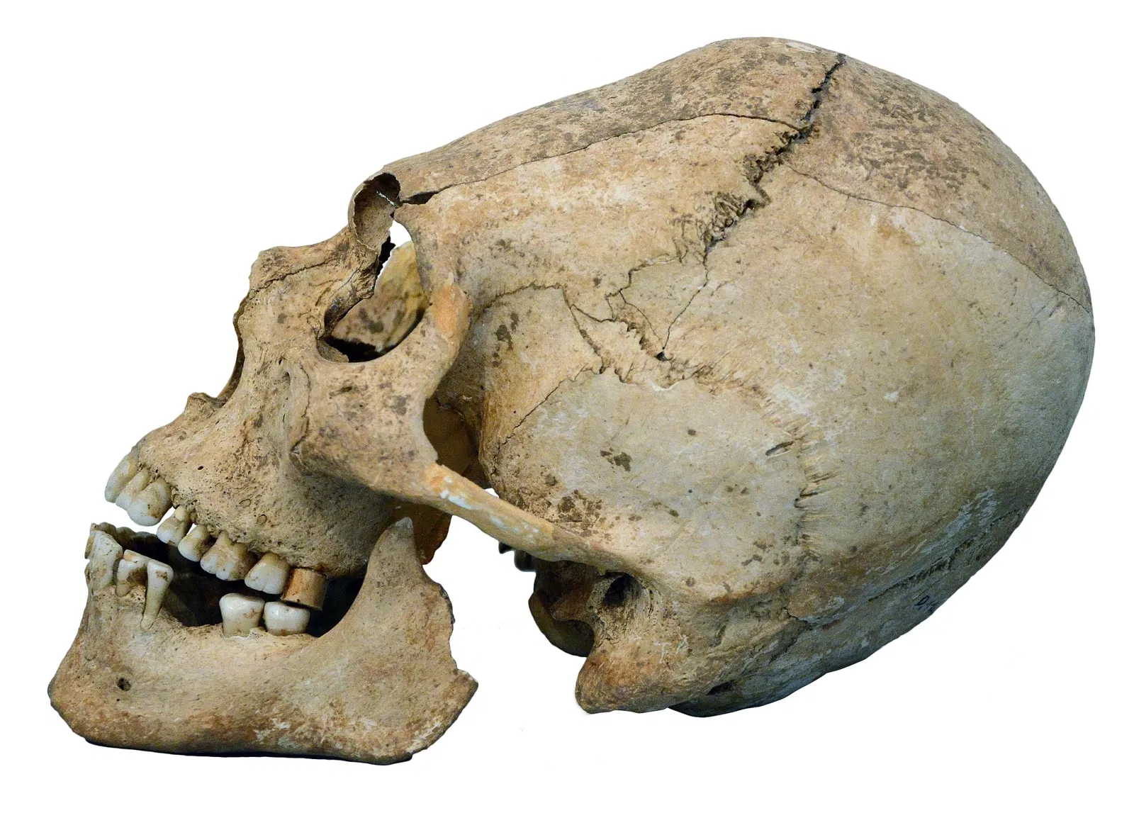 Musée Archéologique