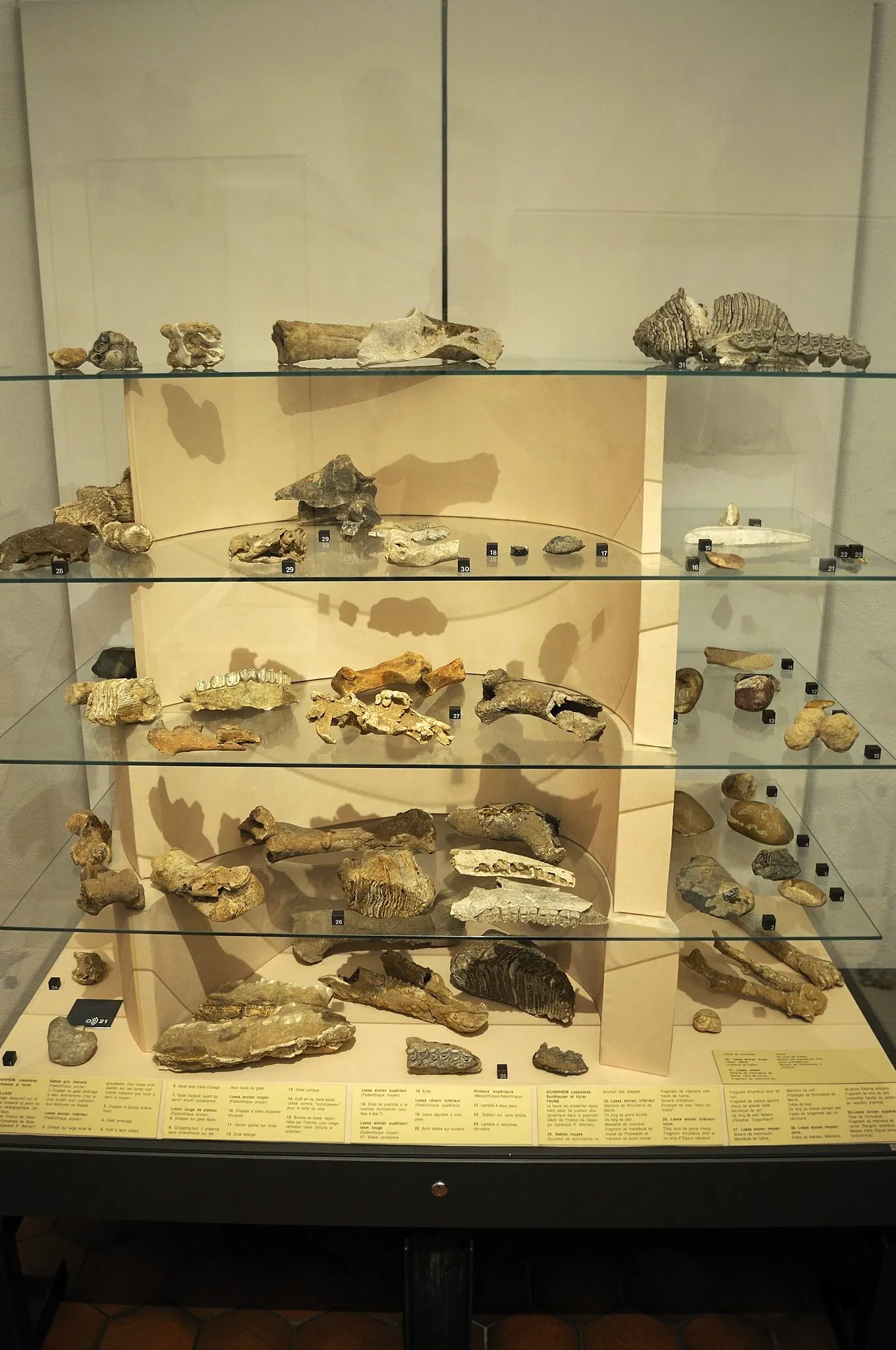 Musée Archéologique