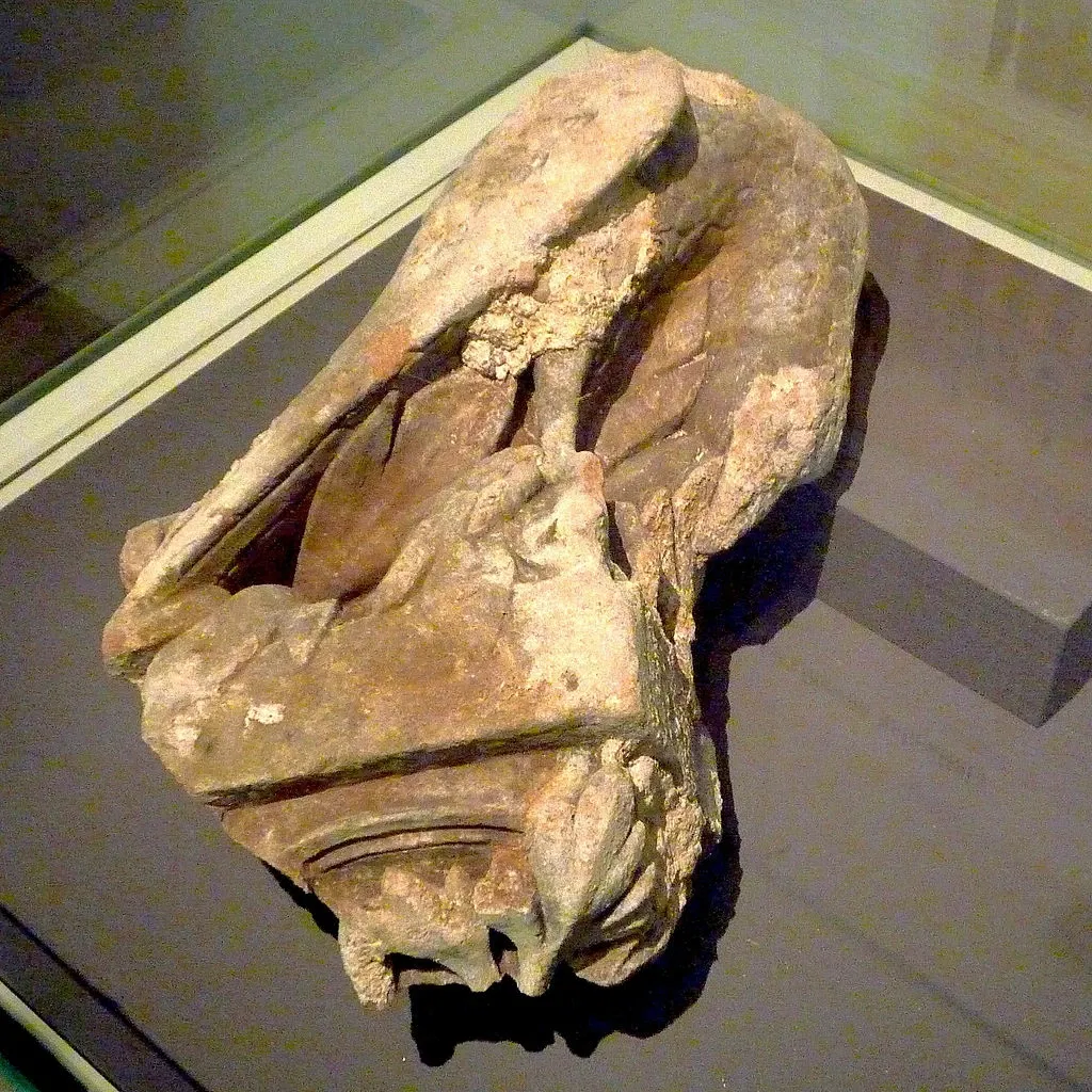 Archaeological Museum