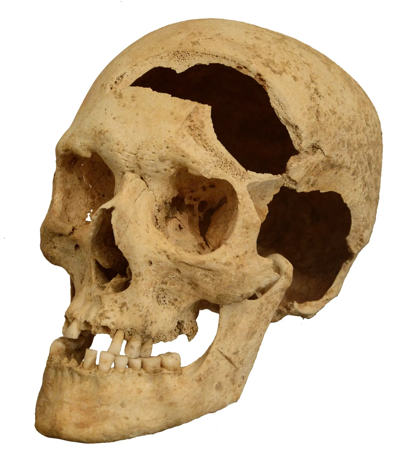 Musée Archéologique