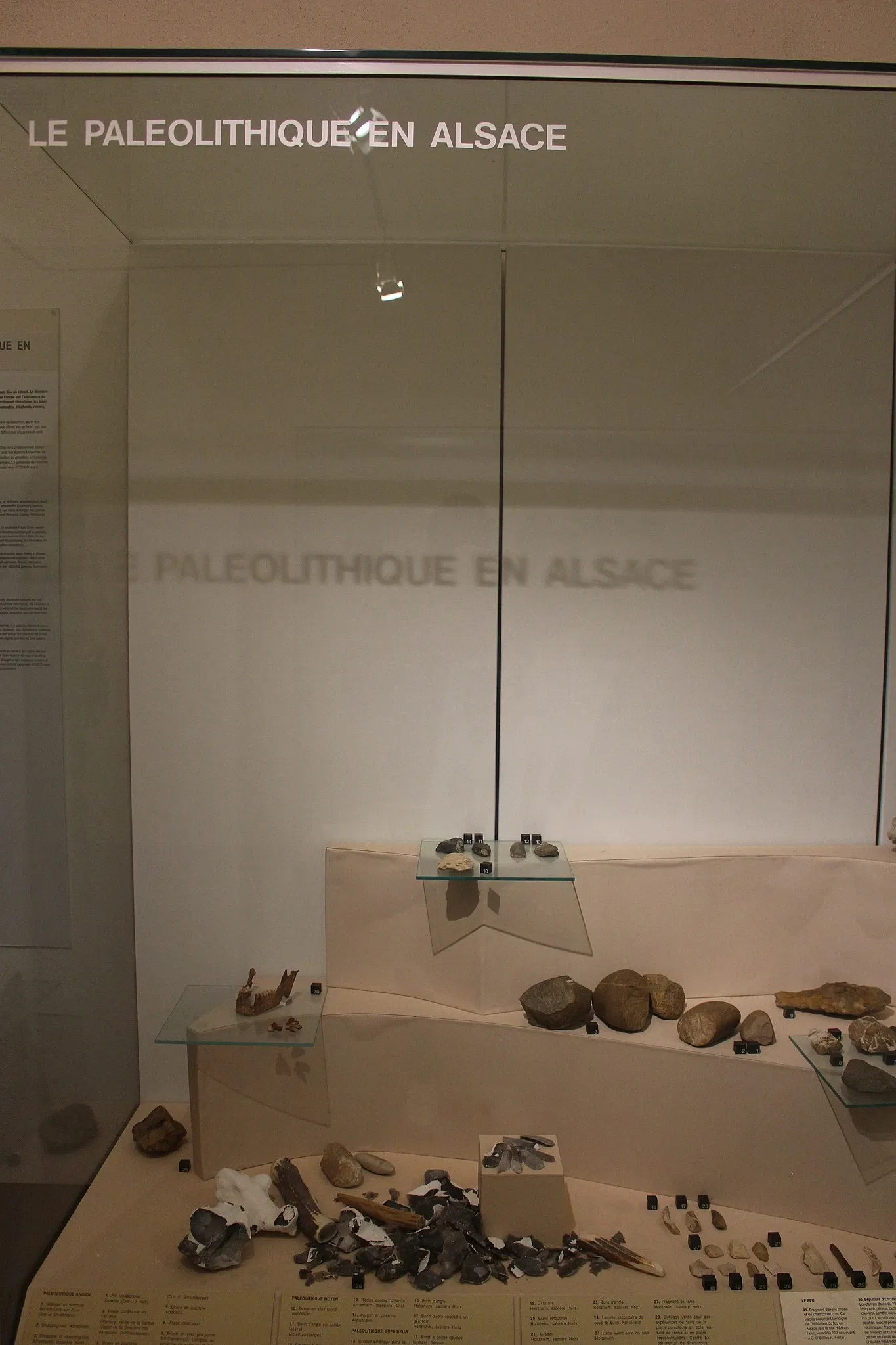 Musée archéologique de Strasbourg