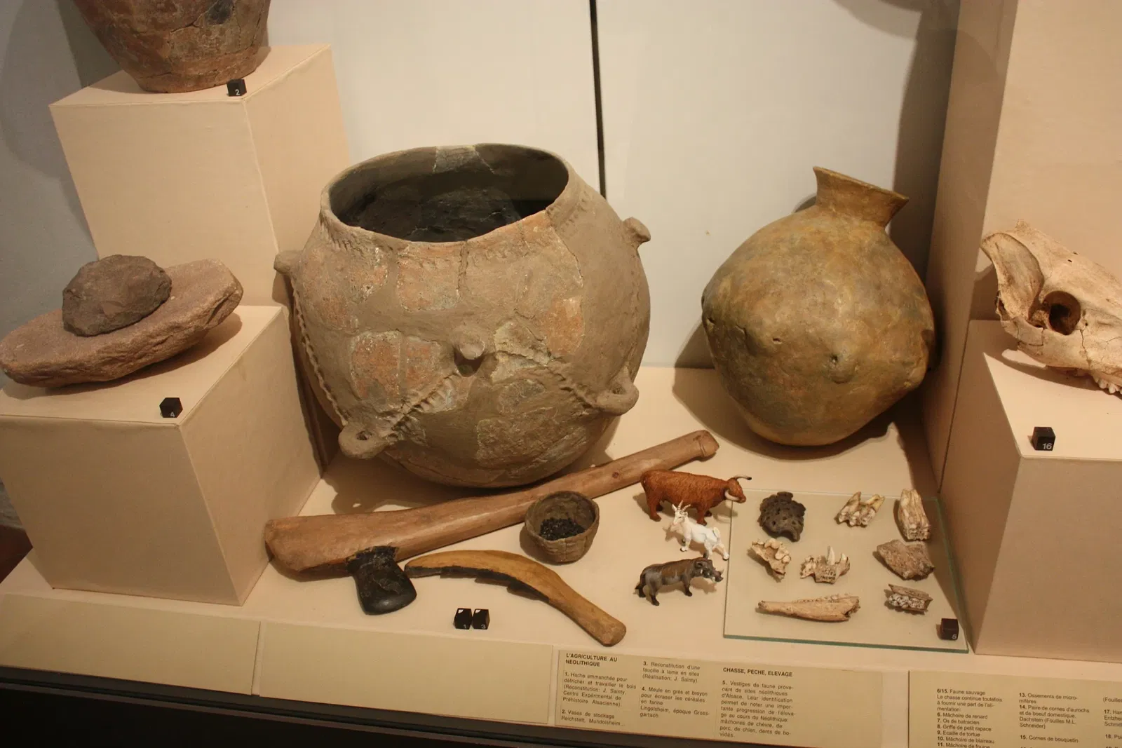 Musée Archéologique