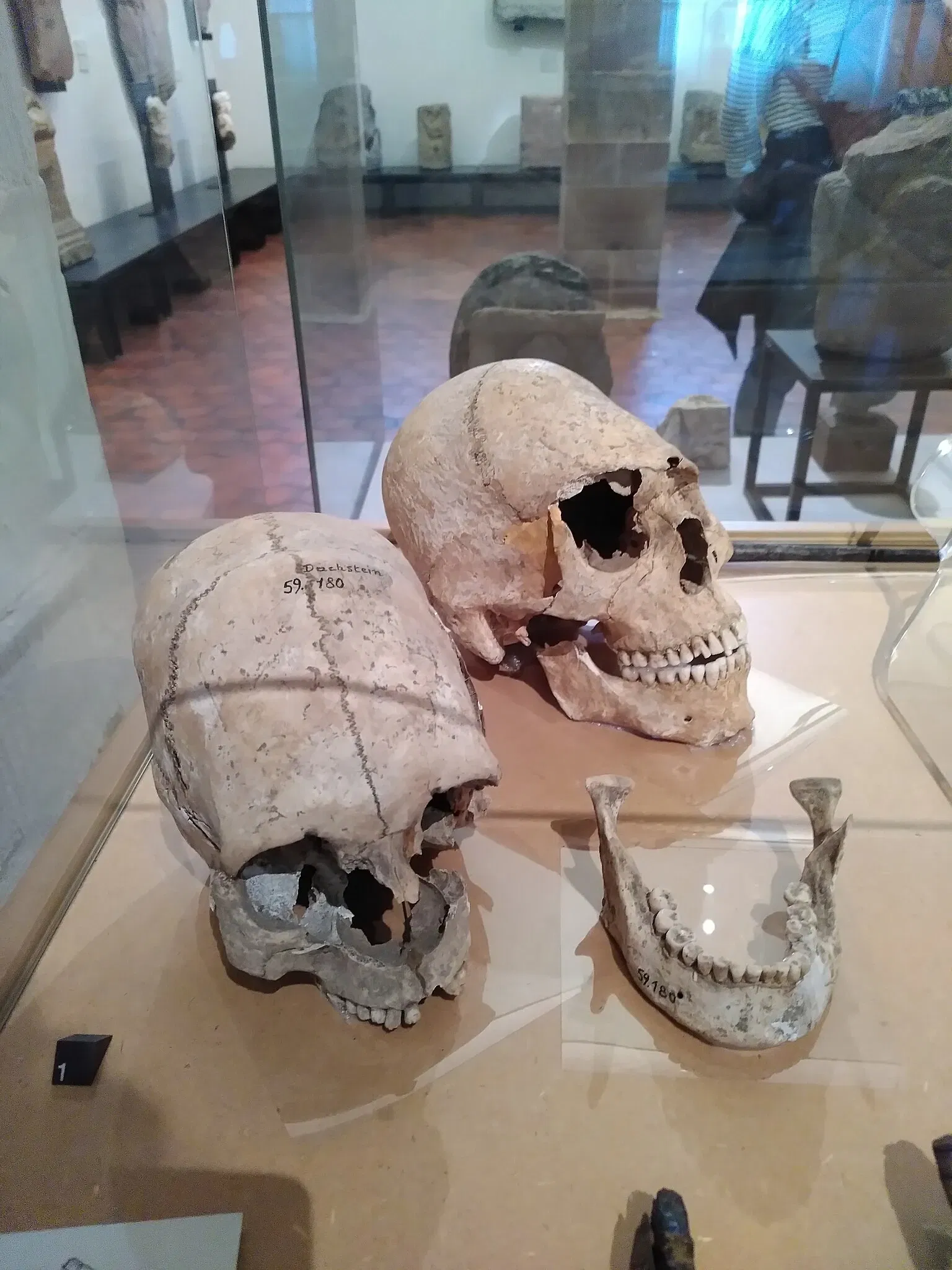 Musée archéologique de Strasbourg