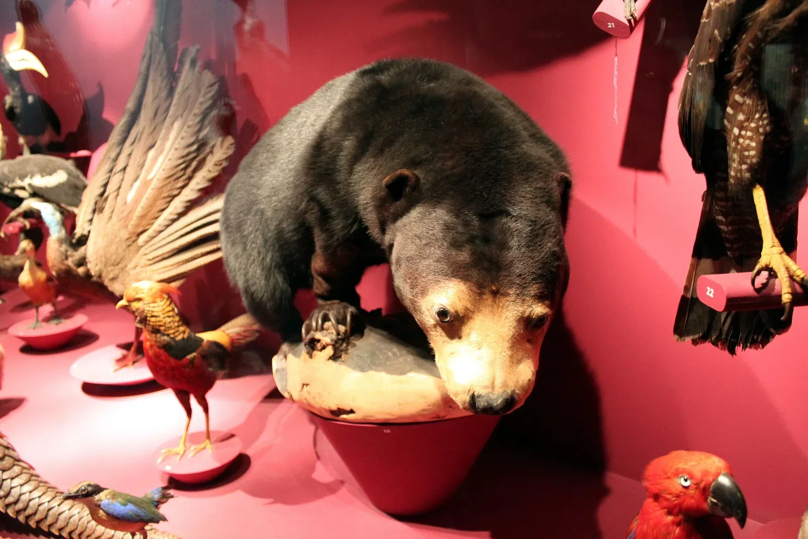 Muséum d'Histoire Naturelle