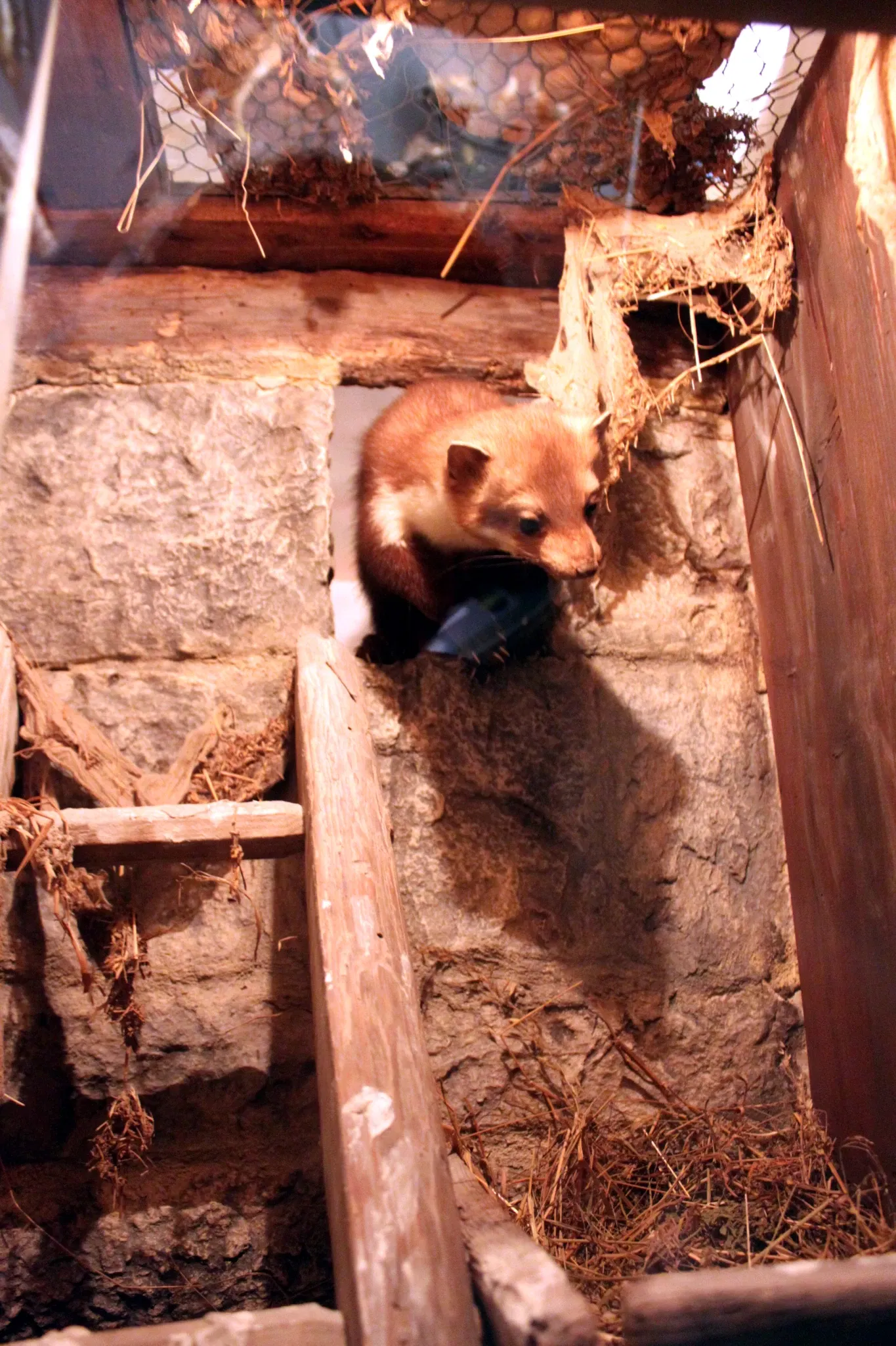 Muséum d'Histoire Naturelle