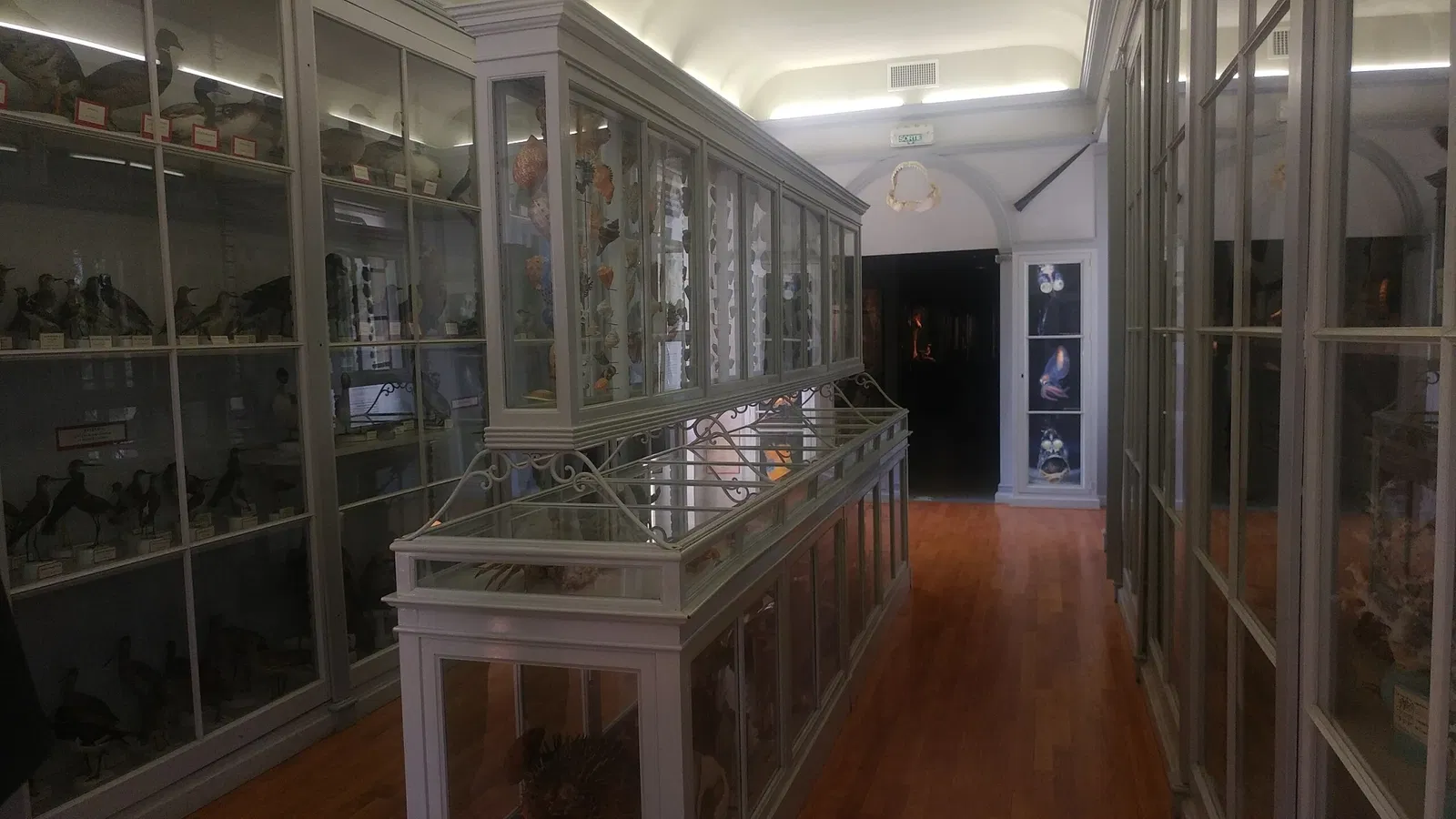 Natural History Museum