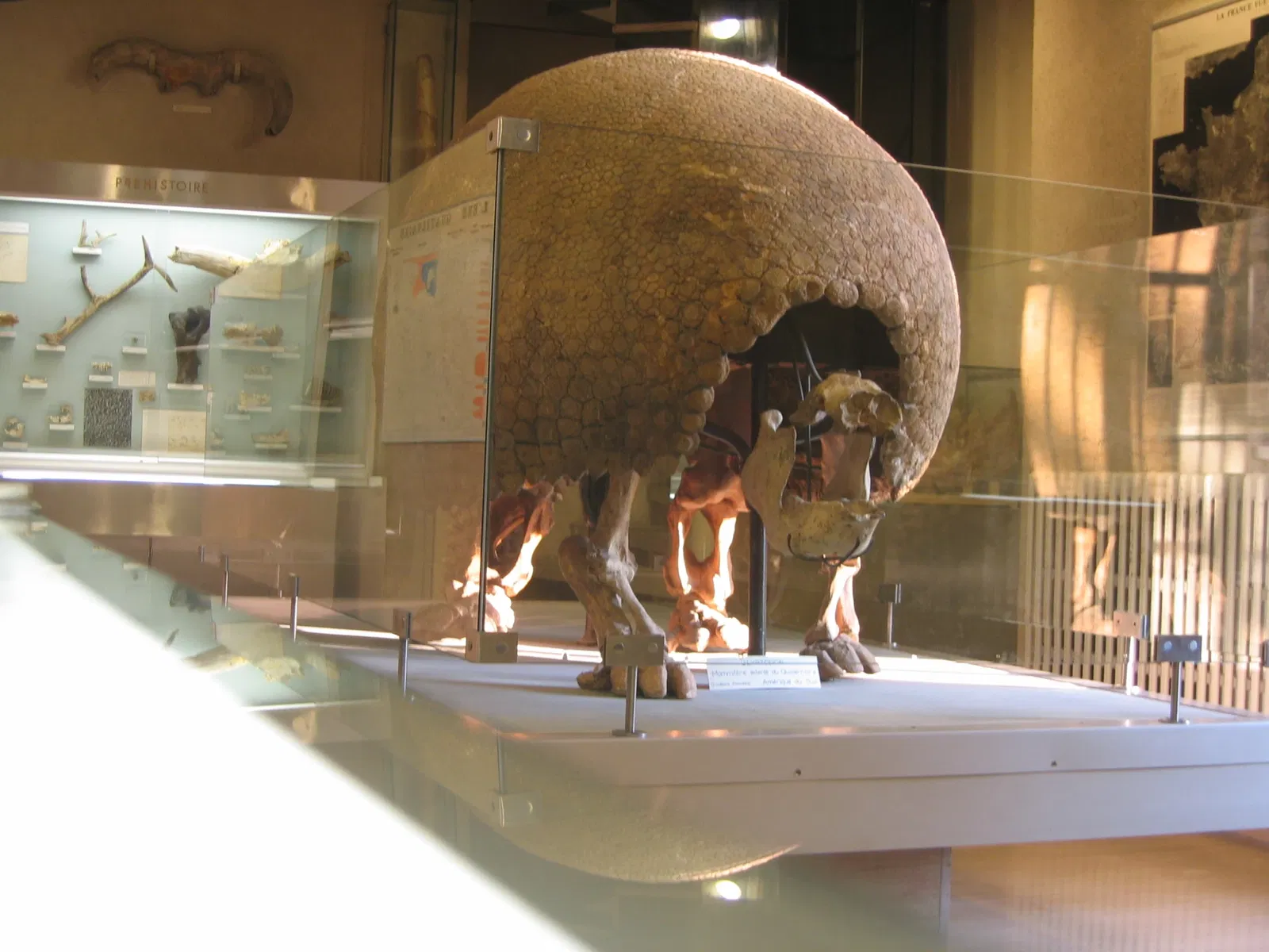 Natural History Museum