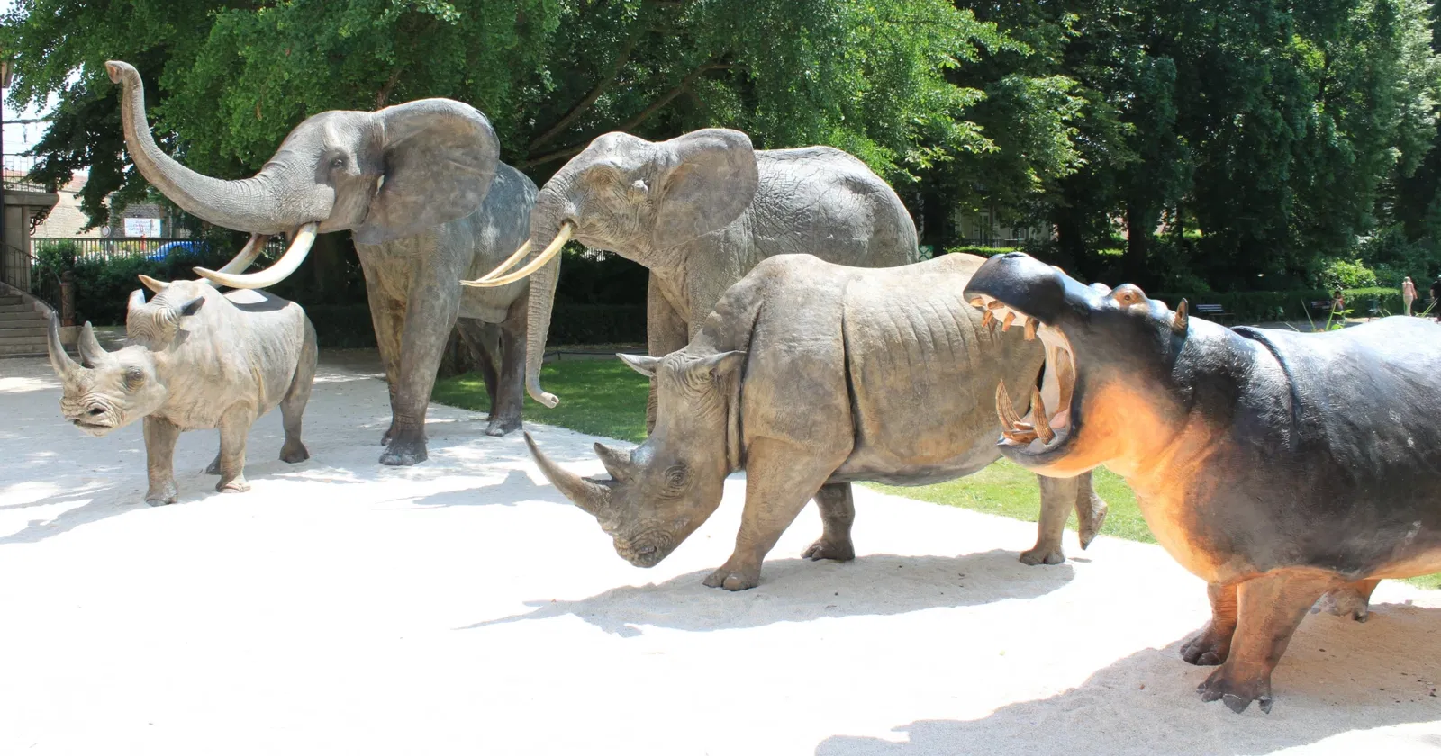 Natural History Museum