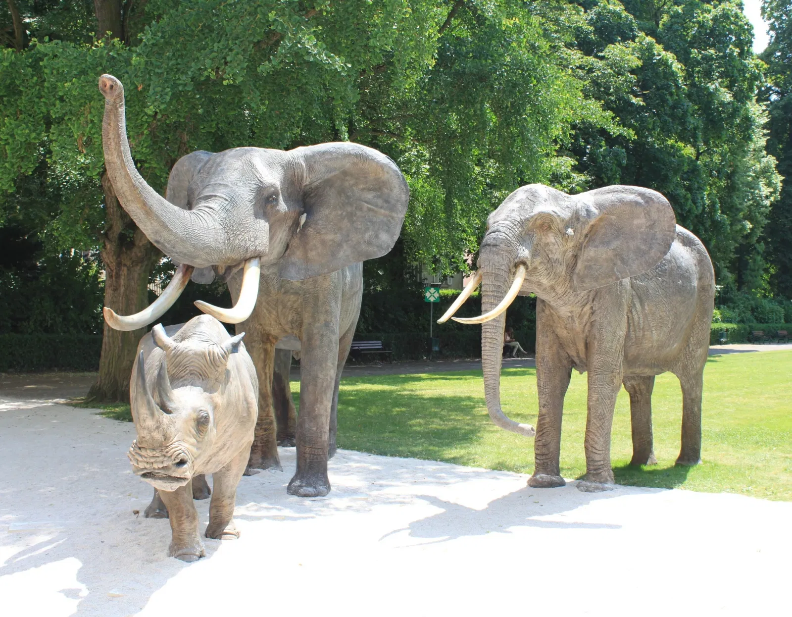 Natural History Museum