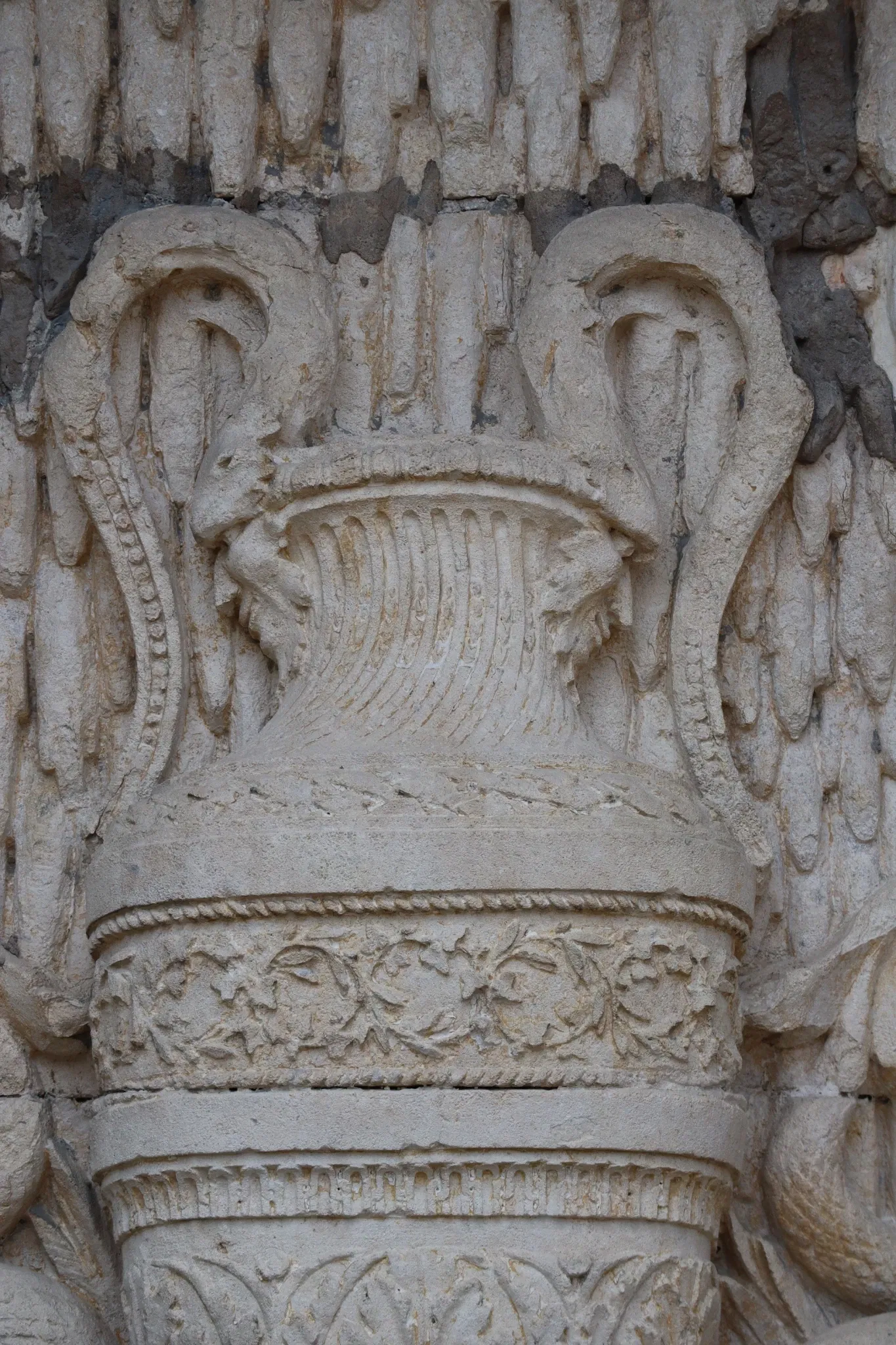 Muséum d'Histoire Naturelle