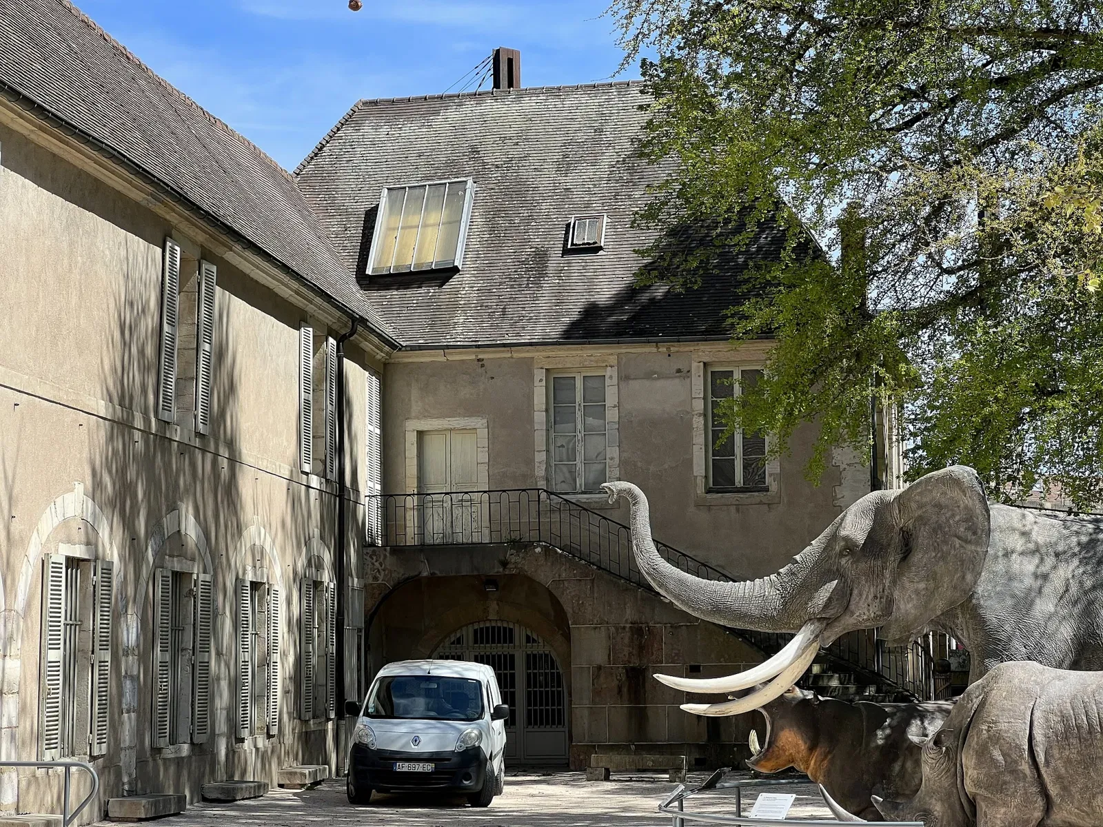 Muséum d'Histoire Naturelle