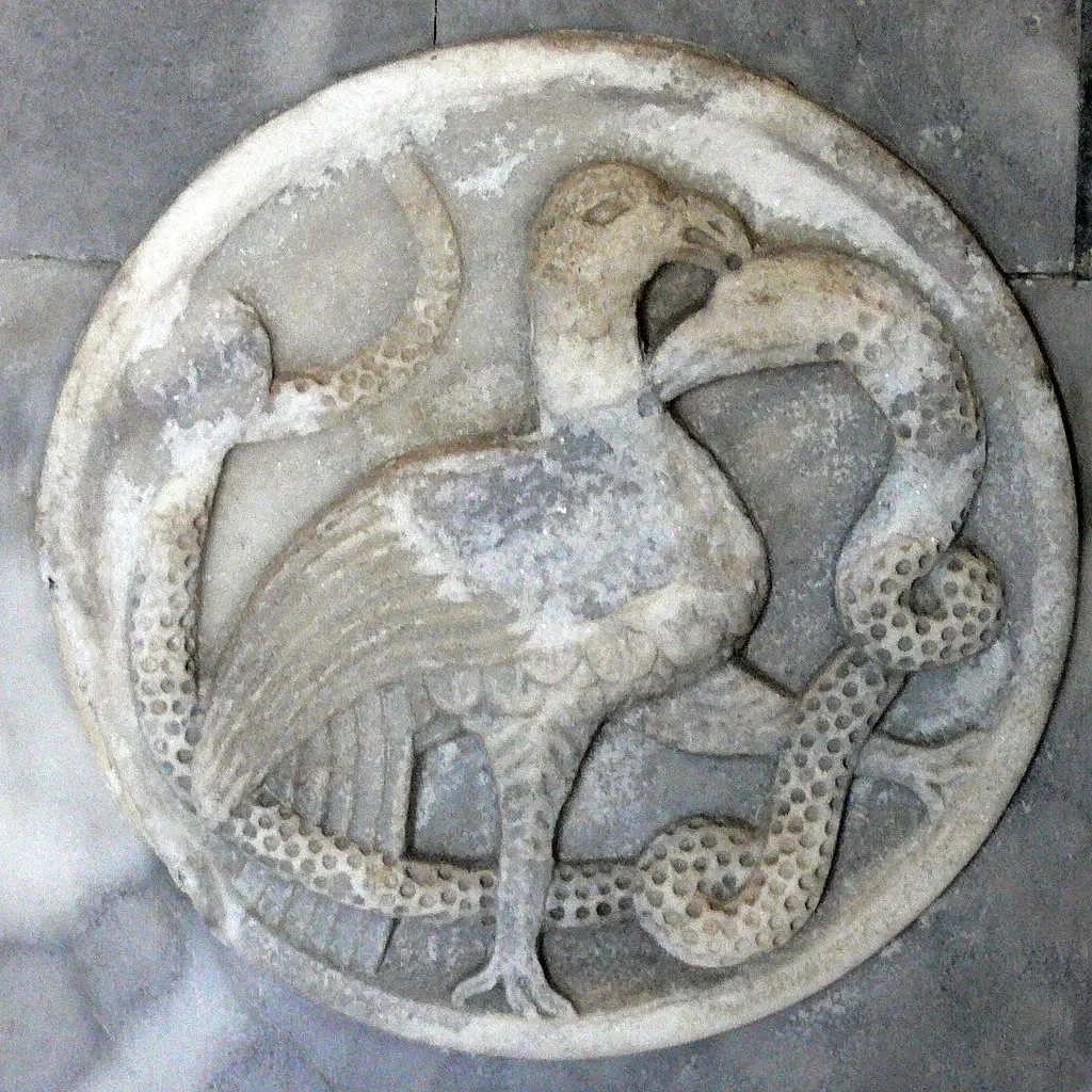 Natural History Museum of Venice