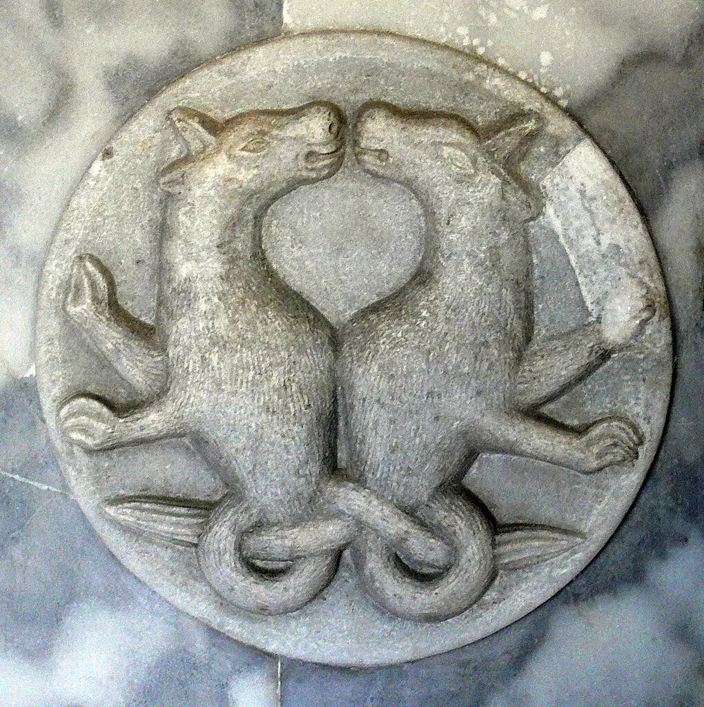 Museo di Storia Naturale di Venezia