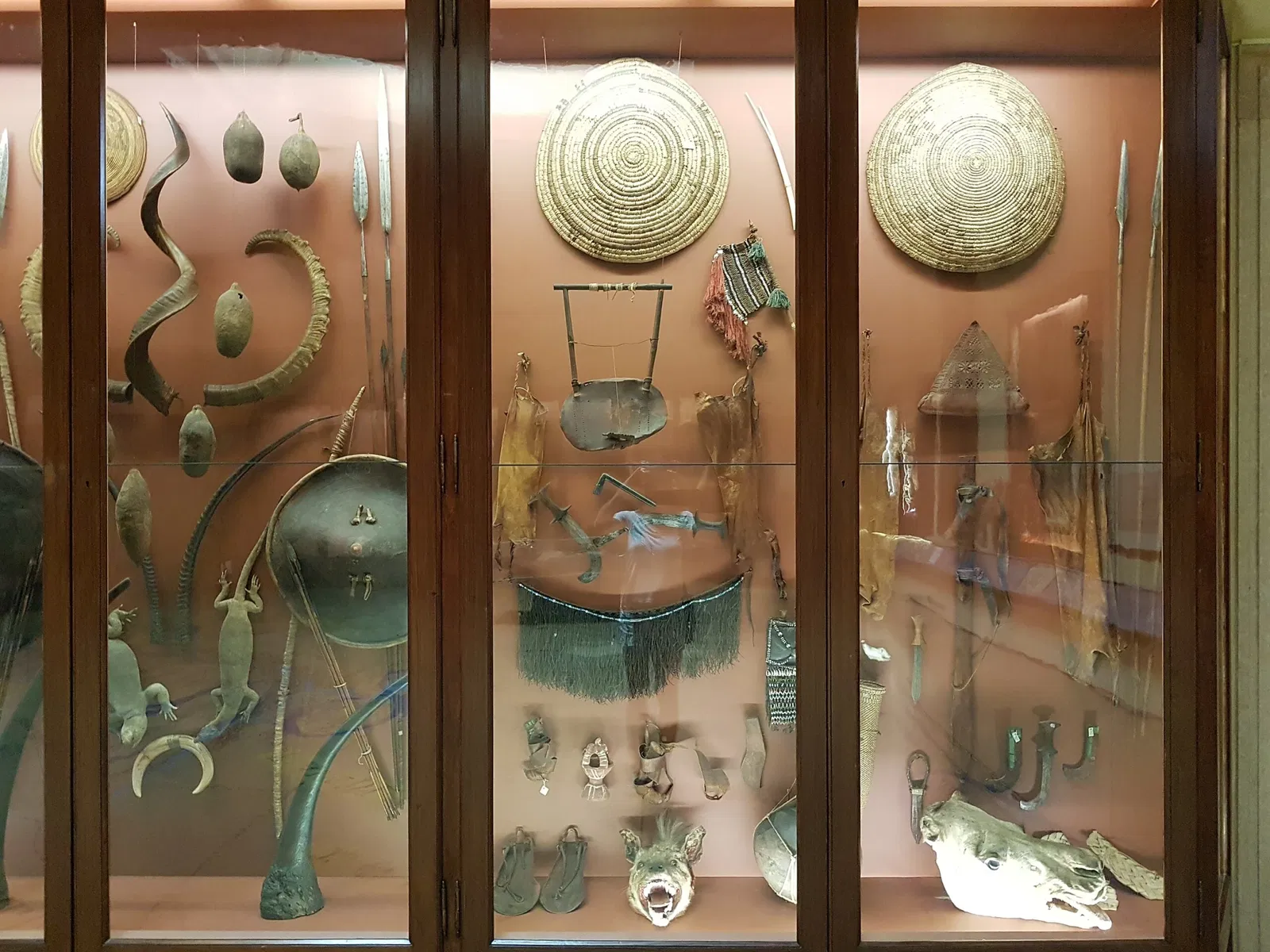 Natural History Museum of Venice