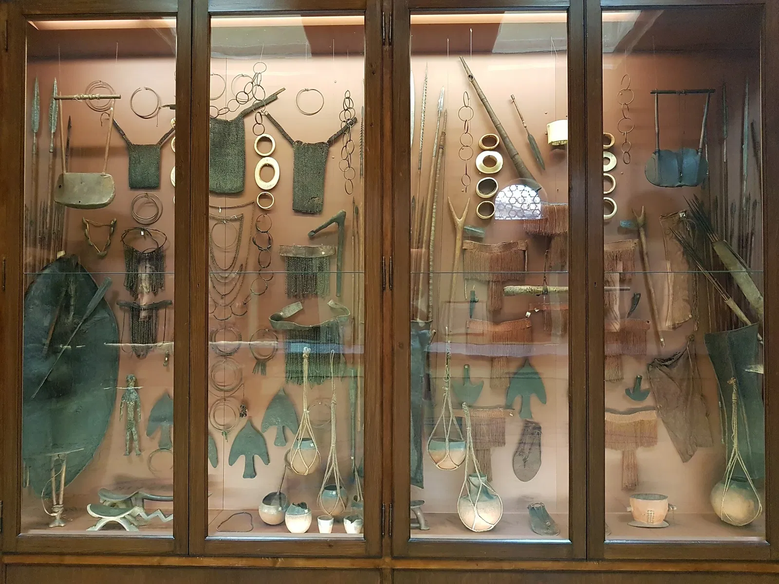 Museo di Storia Naturale di Venezia