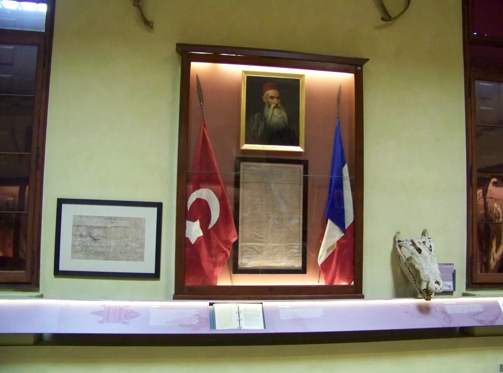 Museo di Storia Naturale di Venezia