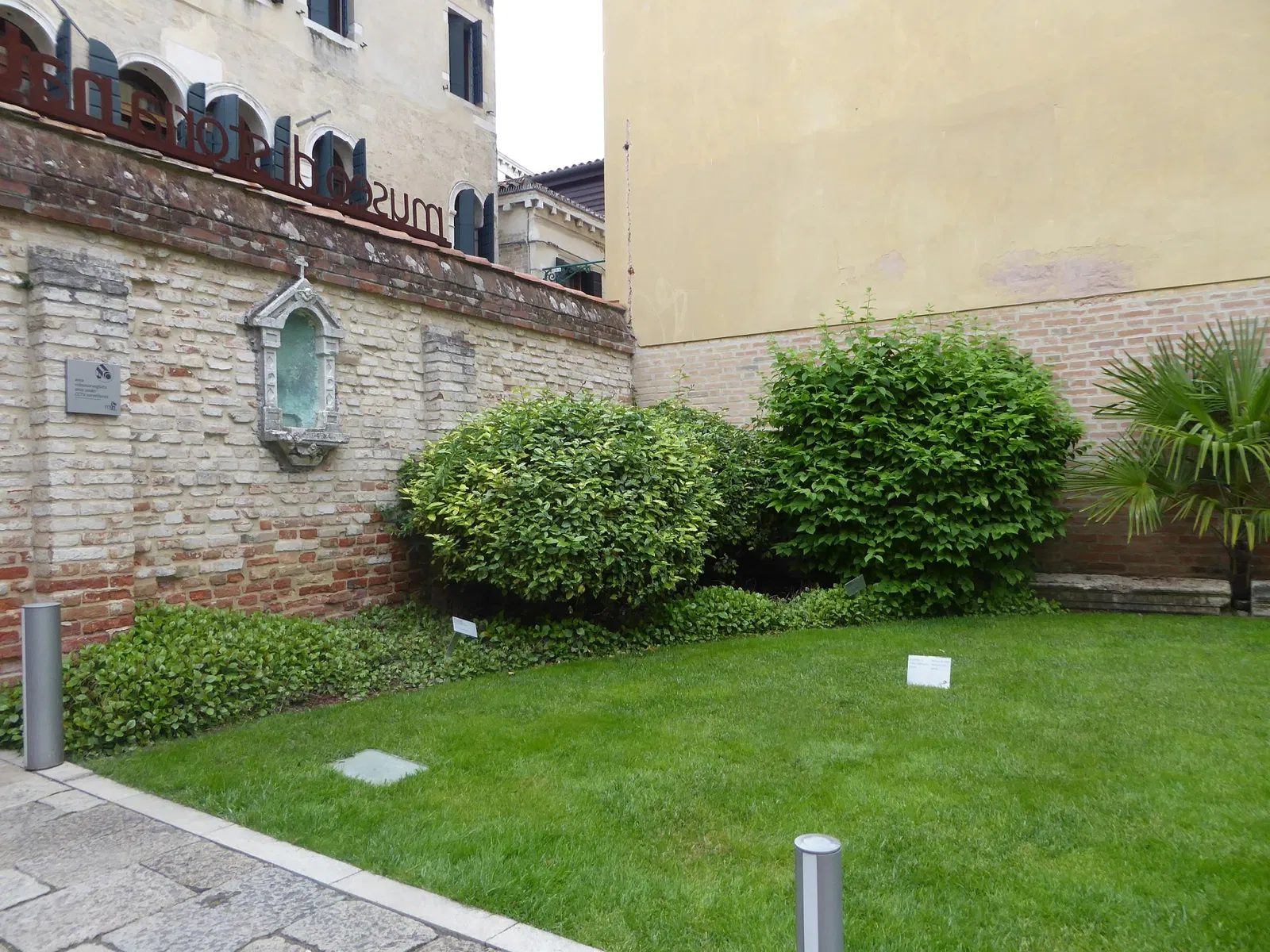 Natural History Museum of Venice