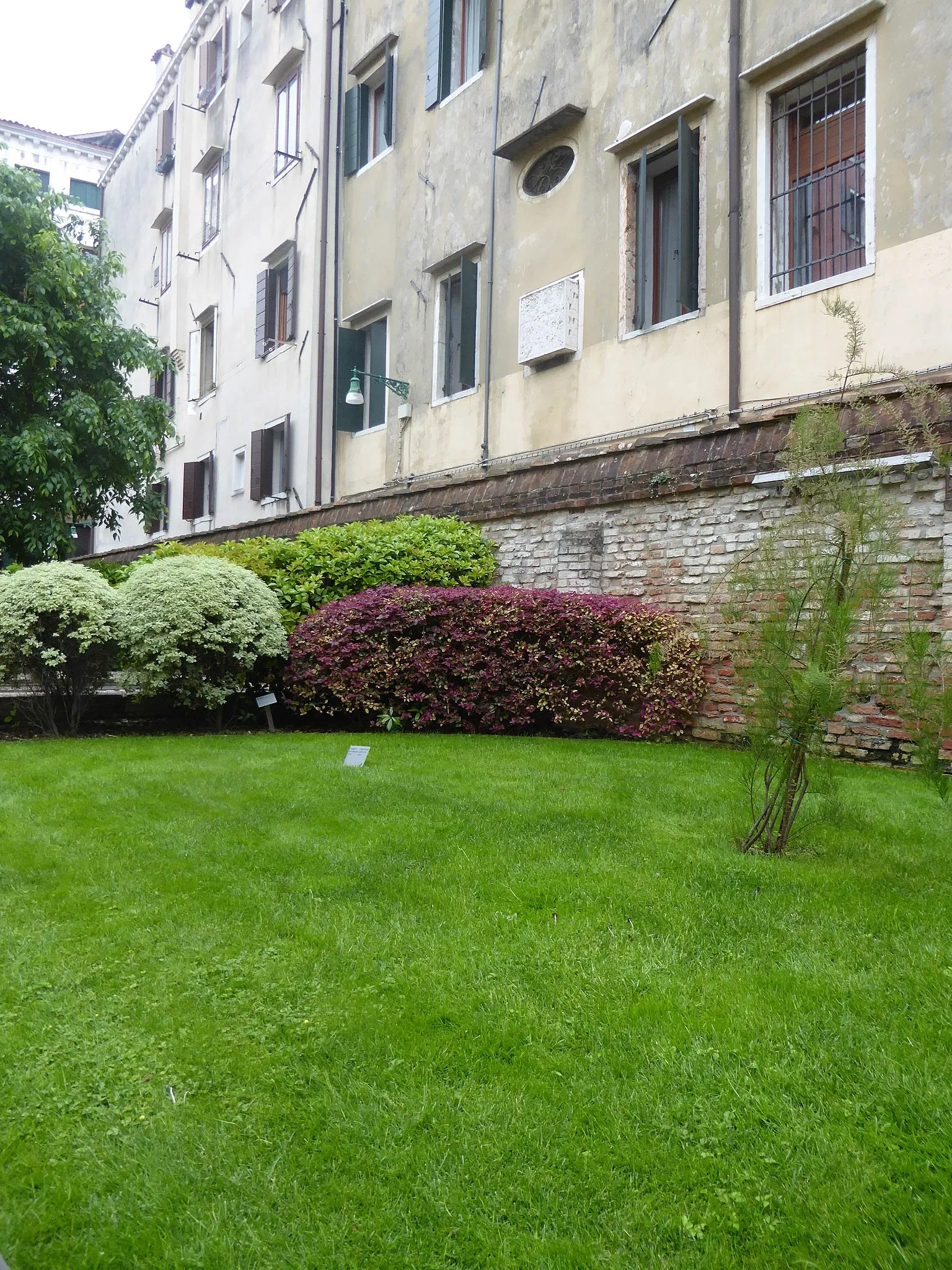 Museo di Storia Naturale di Venezia