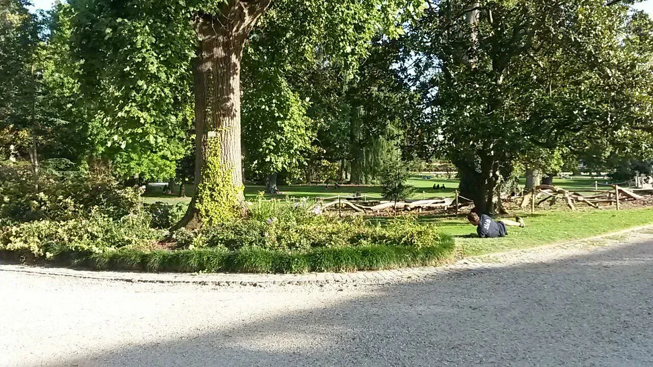 Jardin Botanique de Bordeaux