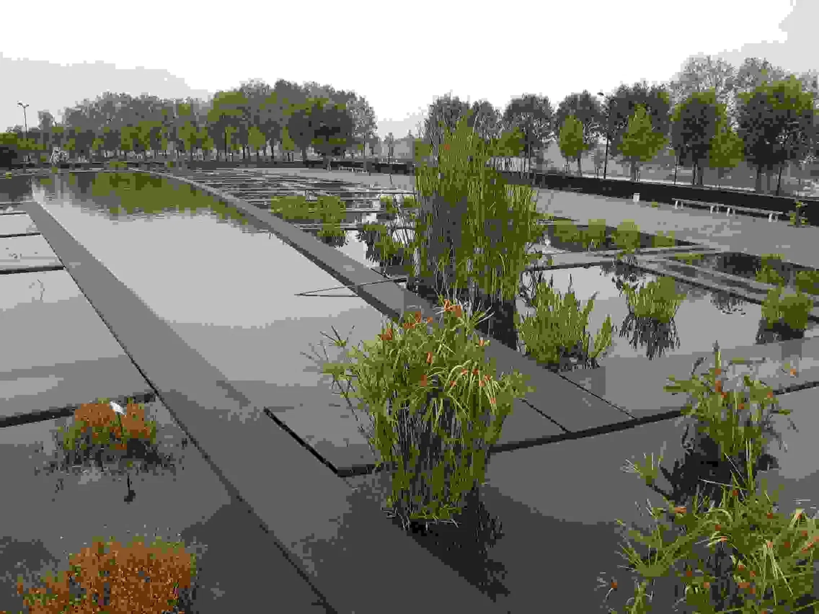 Bordeaux Botanical Garden