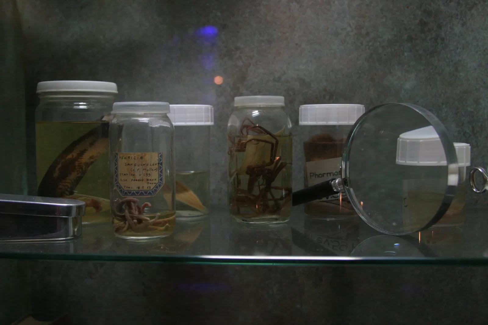 Planet Ocean Montpellier