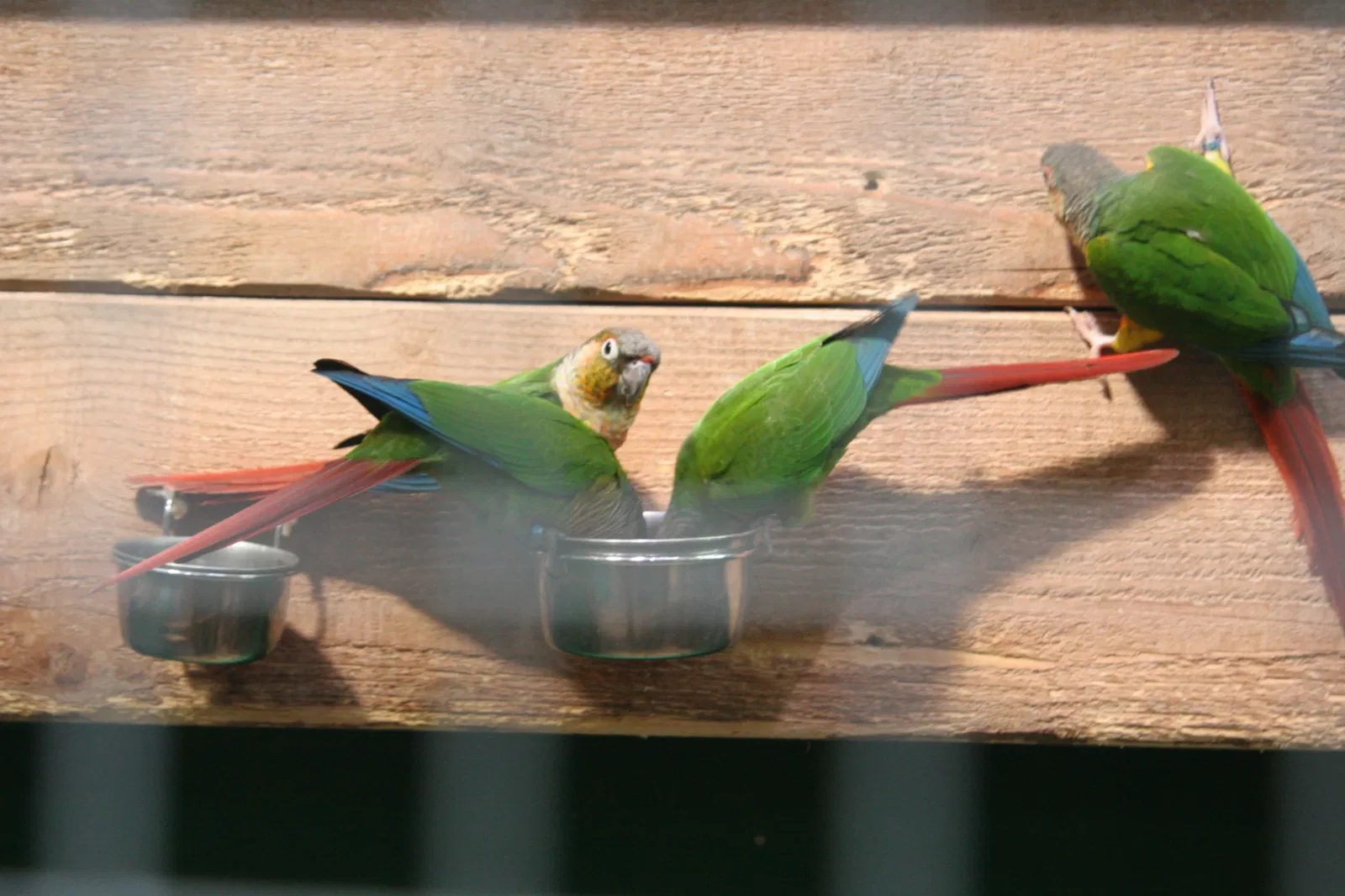 Planet Ocean Montpellier