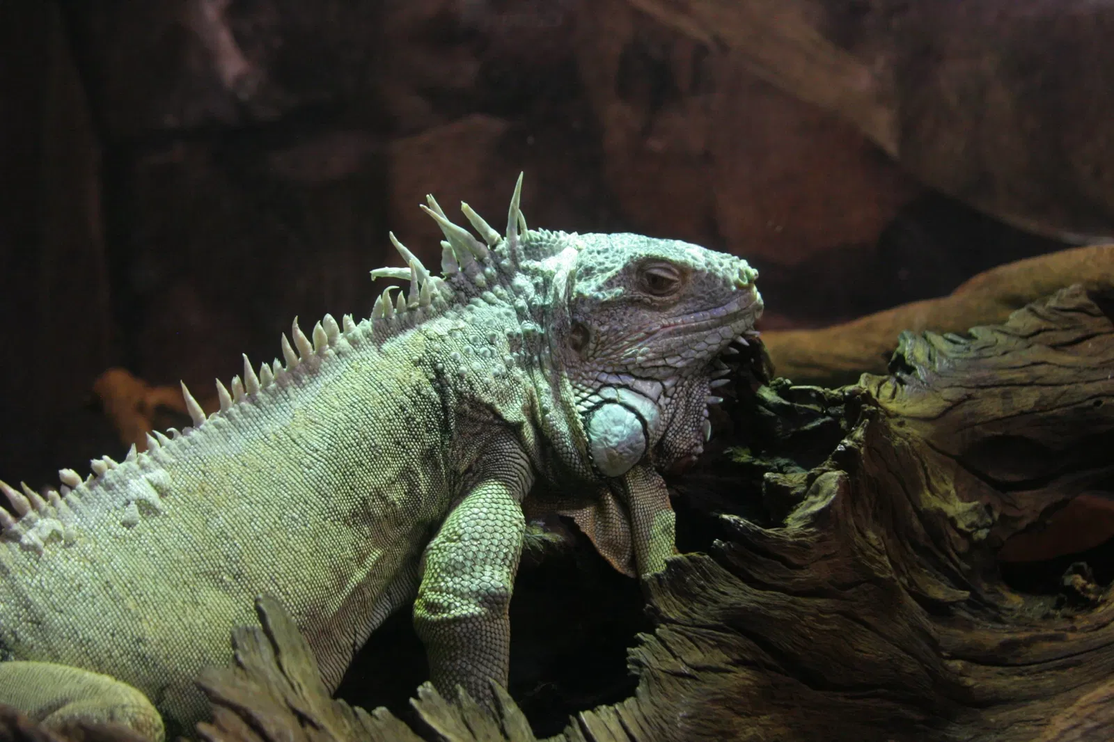 Planet Ocean Montpellier