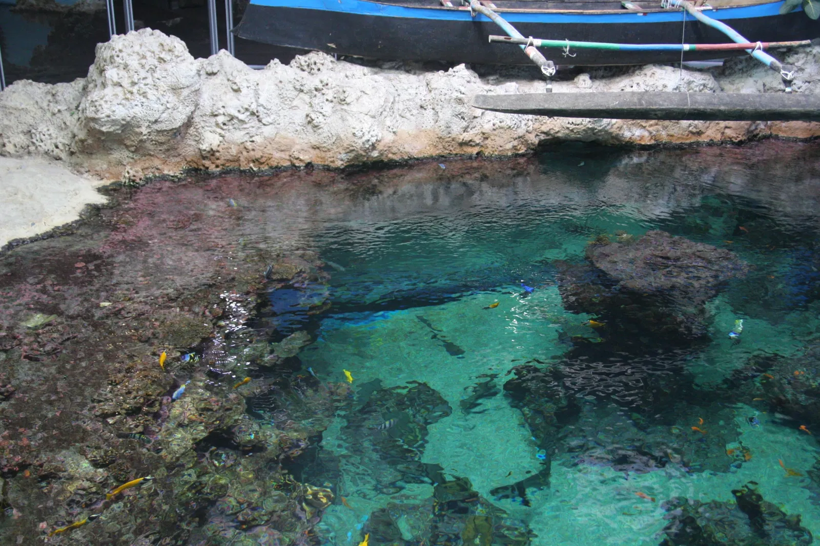 Planet Ocean Montpellier