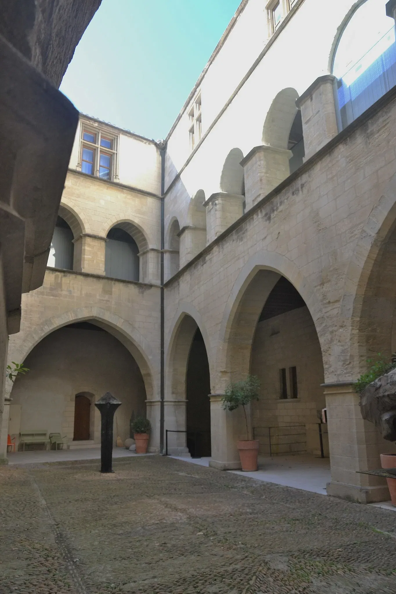 Musée du Petit Palais (Avignon)