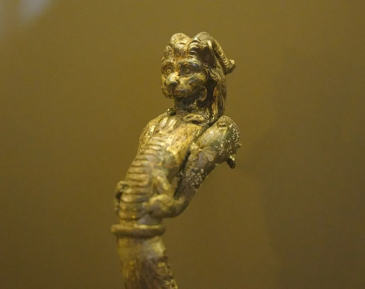 Musée du Petit Palais (Avignon)