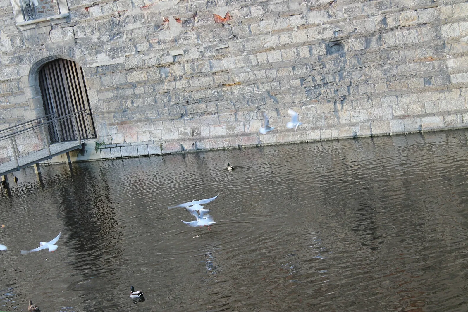Kasteel van de hertogen van Bretagne