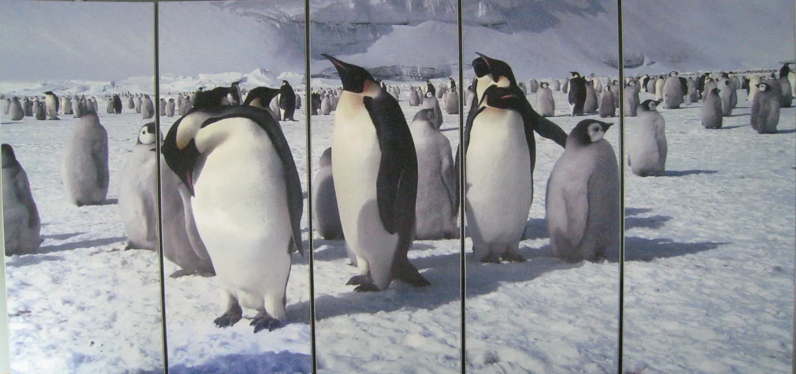 Museo Nazionale dell'Antartide Felice Ippolito