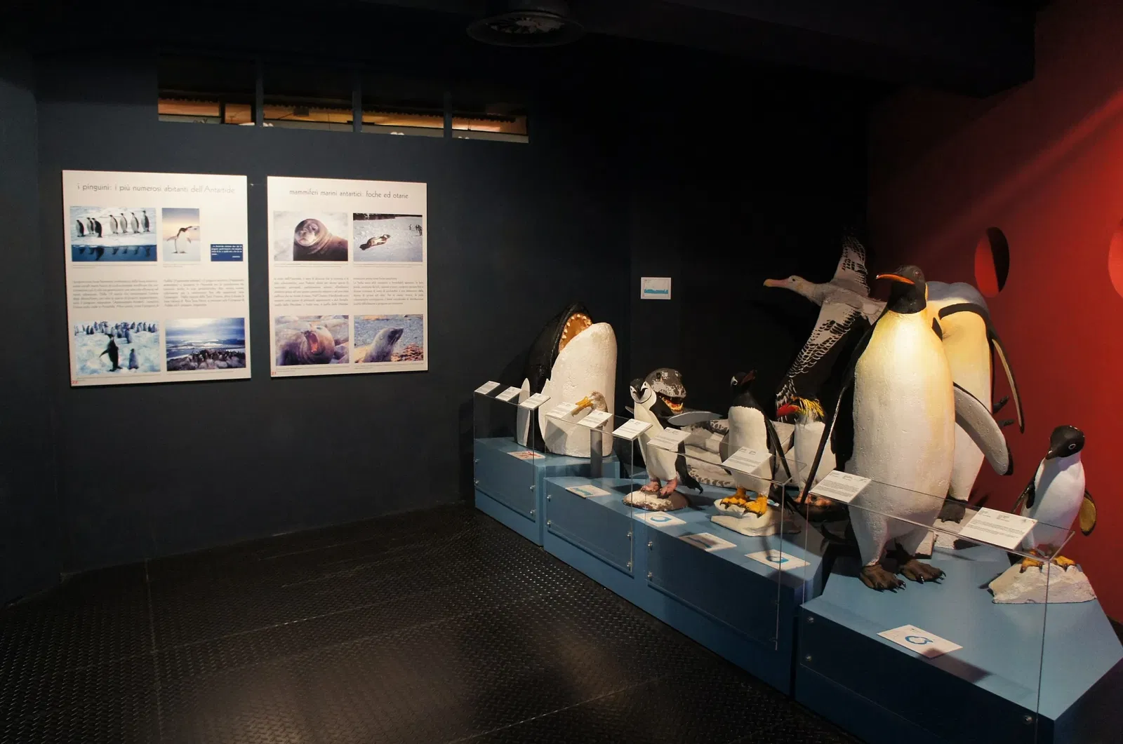 Museo Nazionale dell'Antartide Felice Ippolito