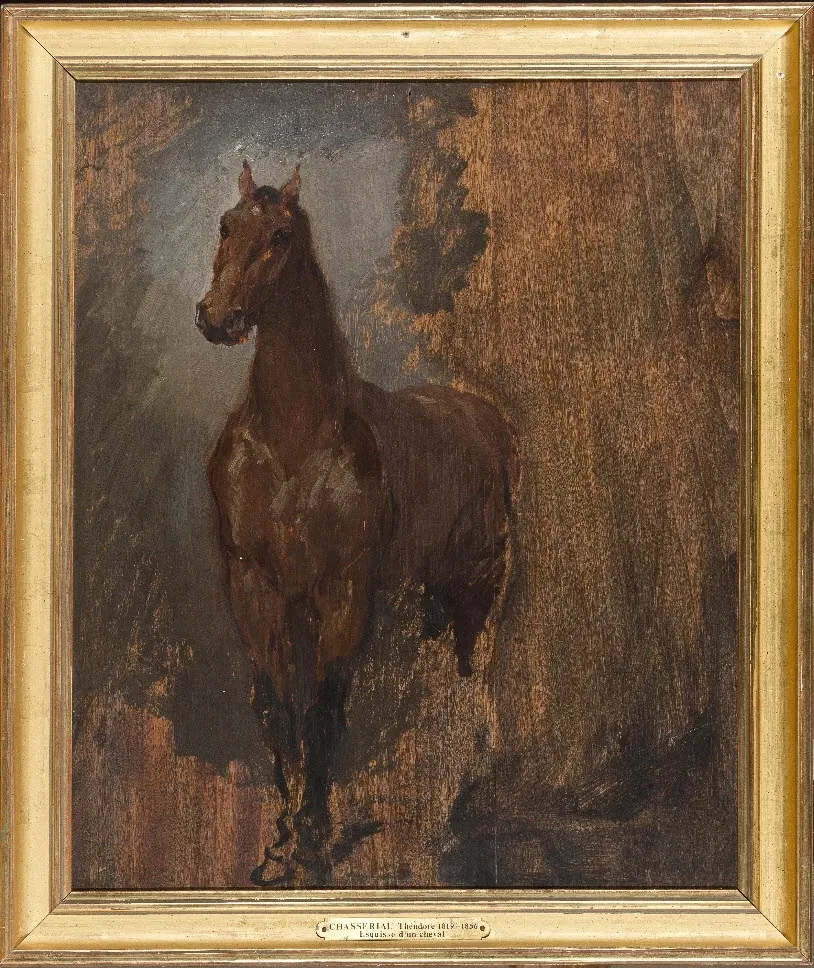 Musee des Beaux-Arts