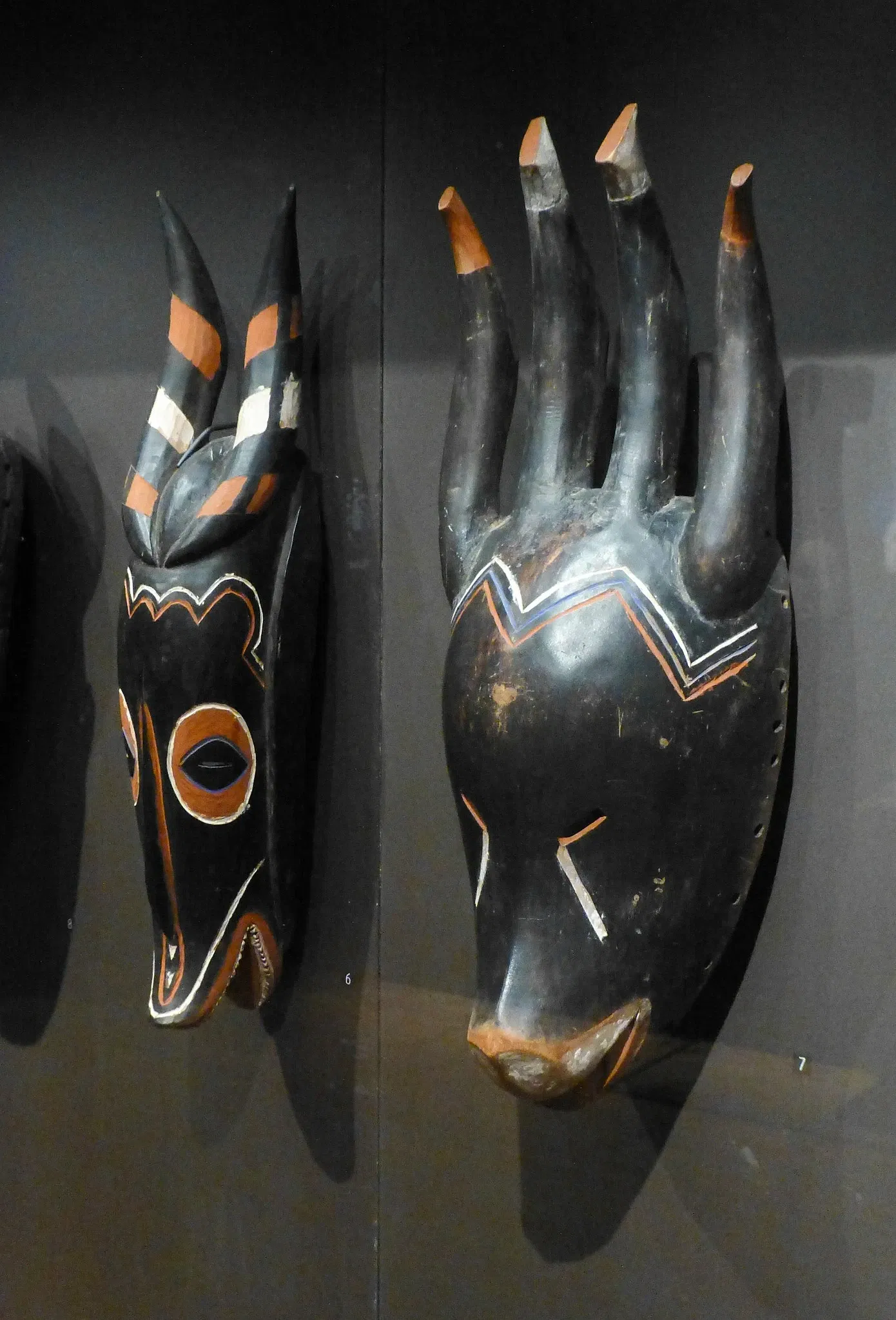 Muséum d'Histoire Naturelle de La Rochelle